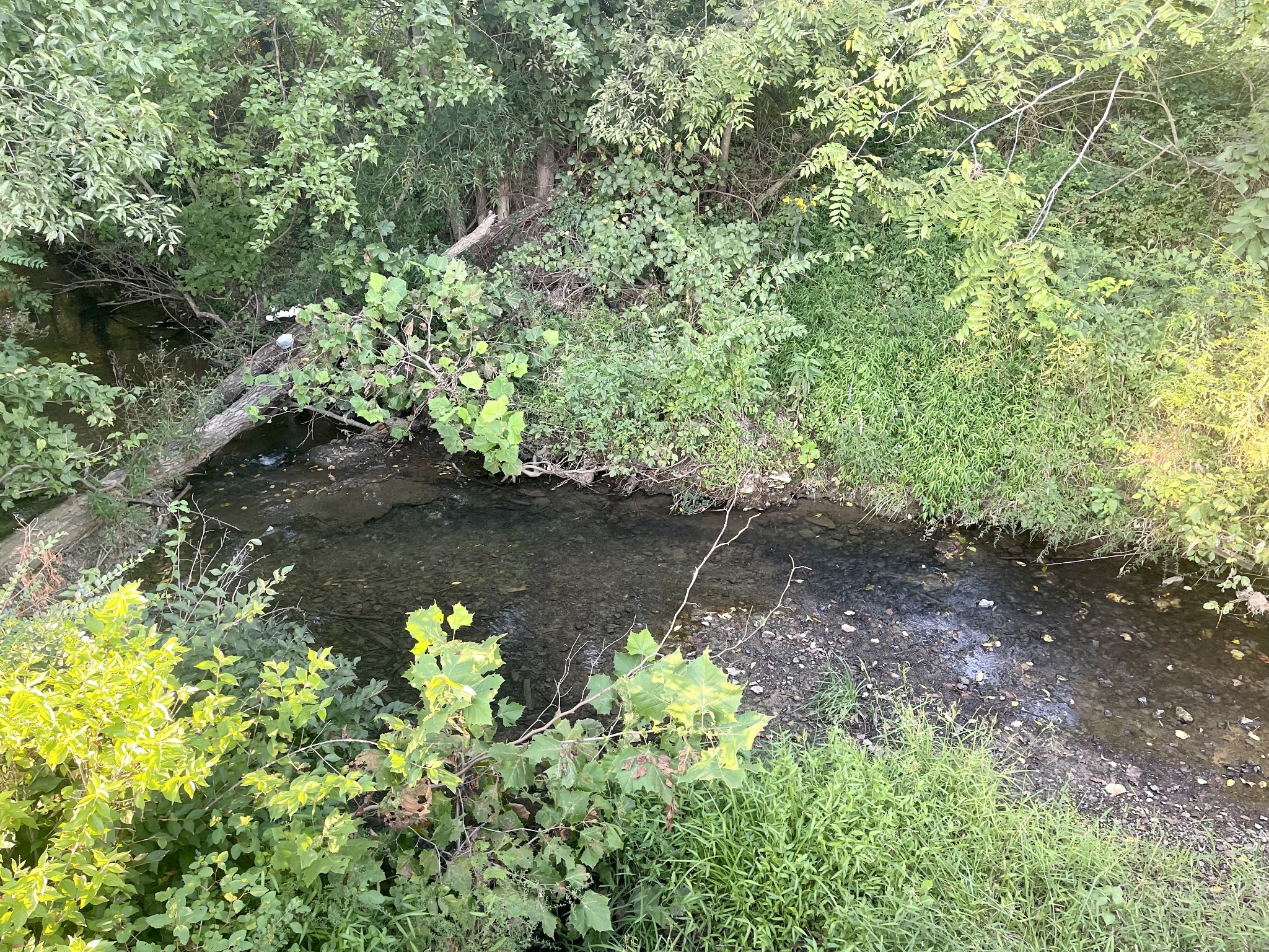 4534 Long Ln Property Photo 10