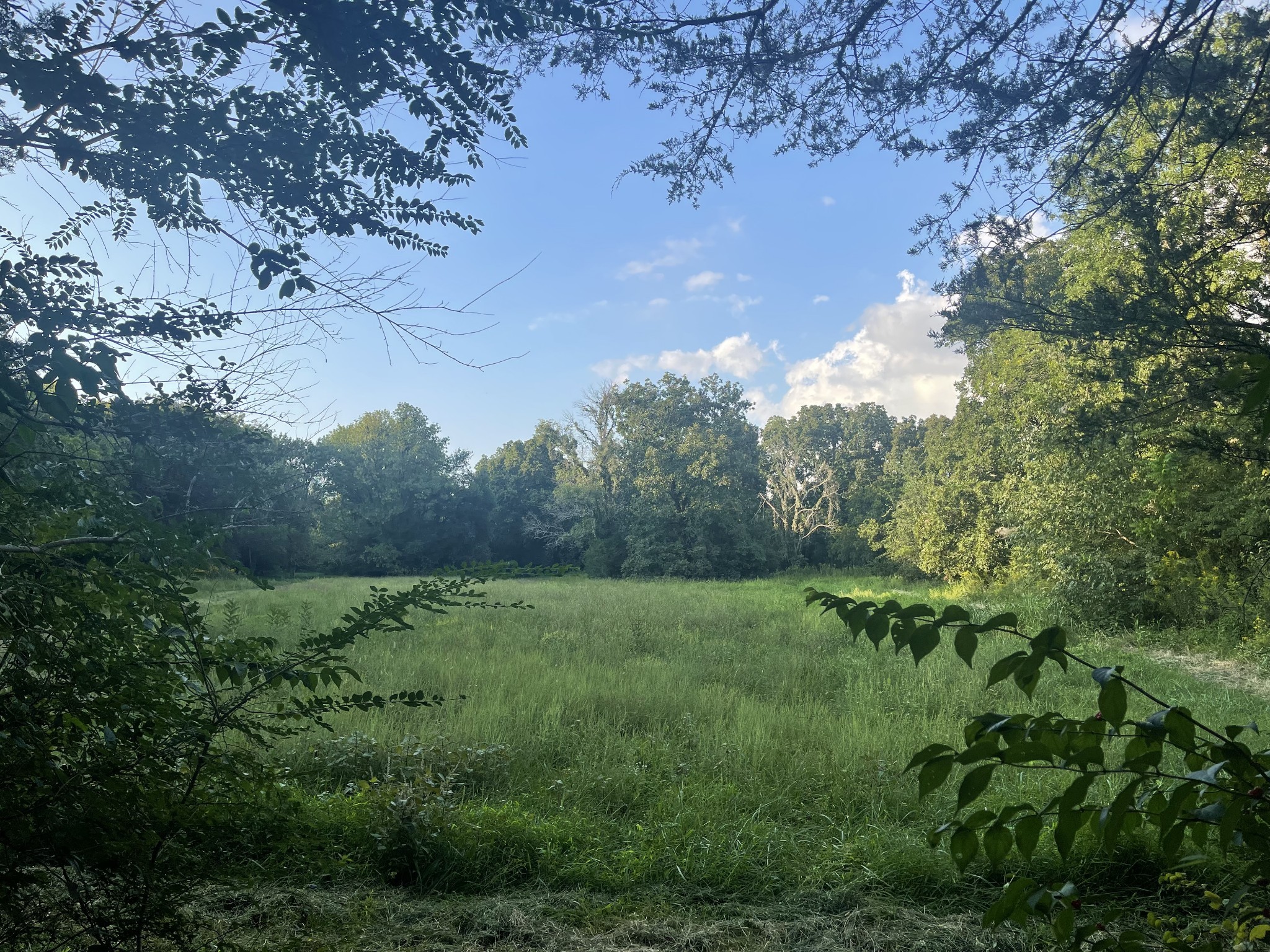 4534 Long Ln Property Photo 11