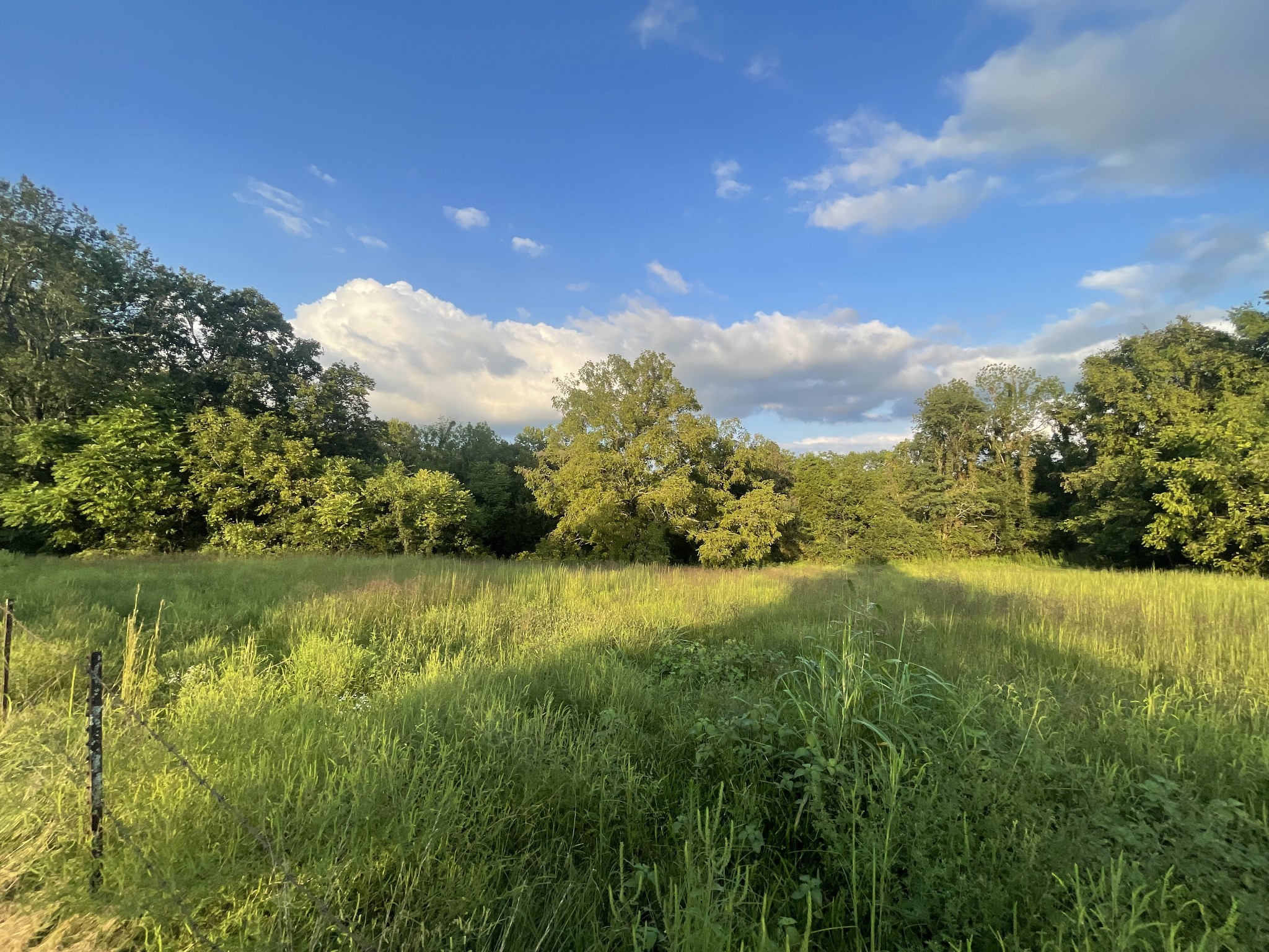 4534 Long Ln Property Photo 12