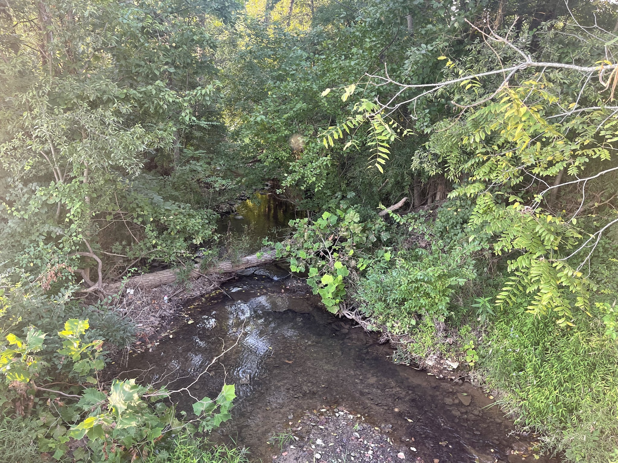 4534 Long Ln Property Photo 14