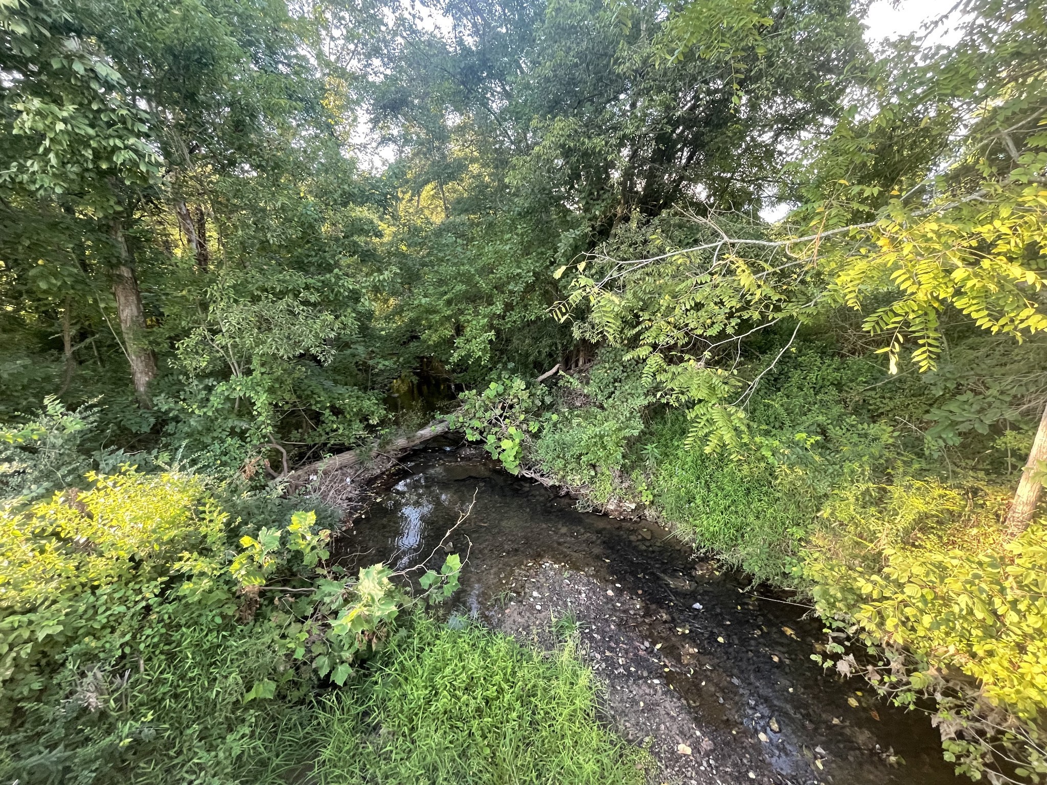 4534 Long Ln Property Photo 15