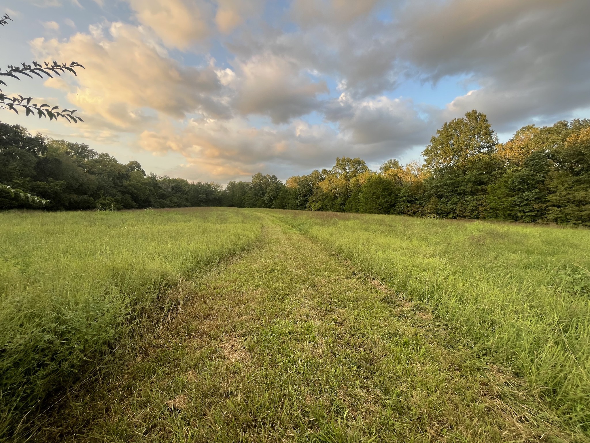 4534 Long Ln Property Photo 16