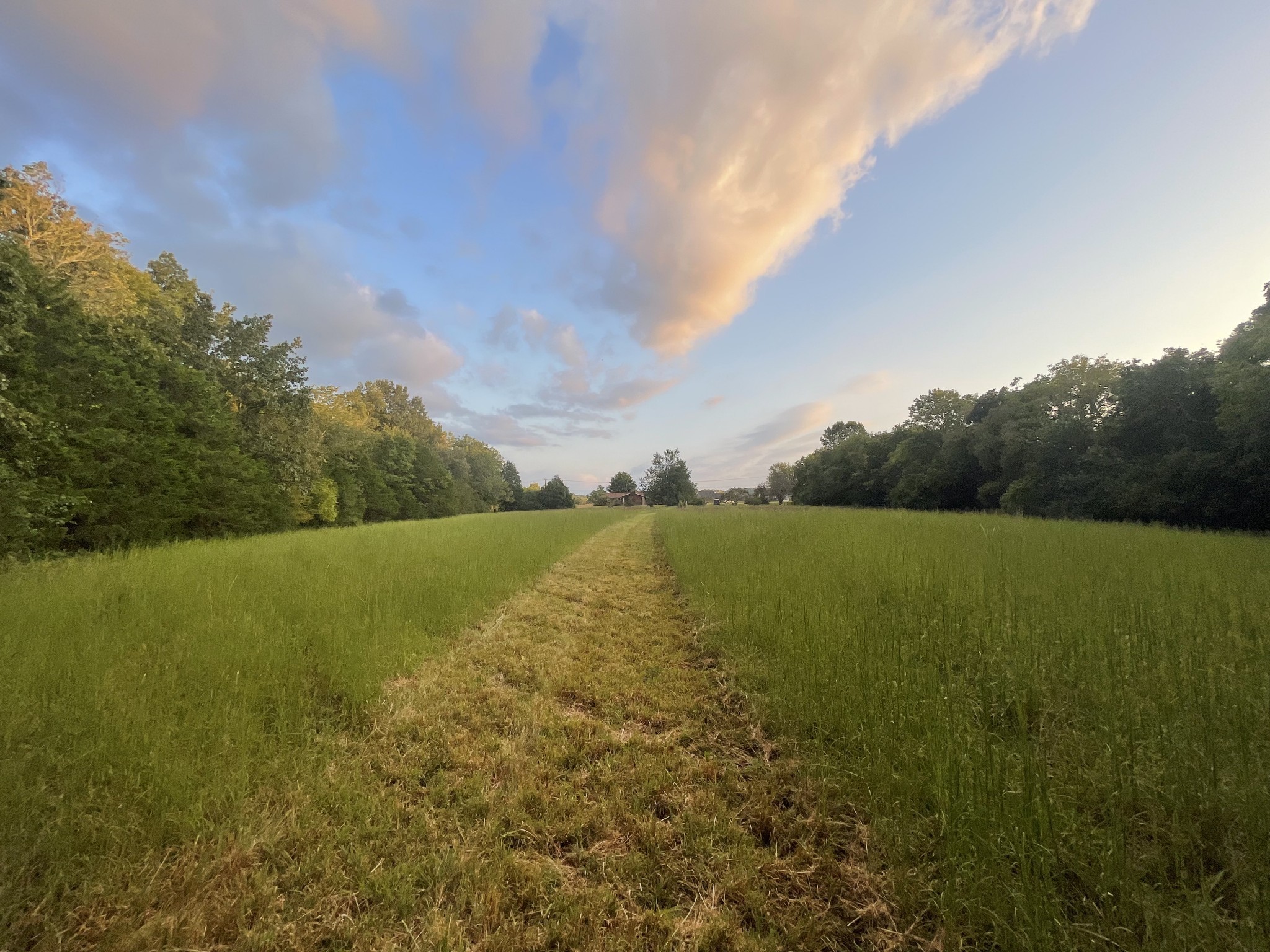 4534 Long Ln Property Photo 17