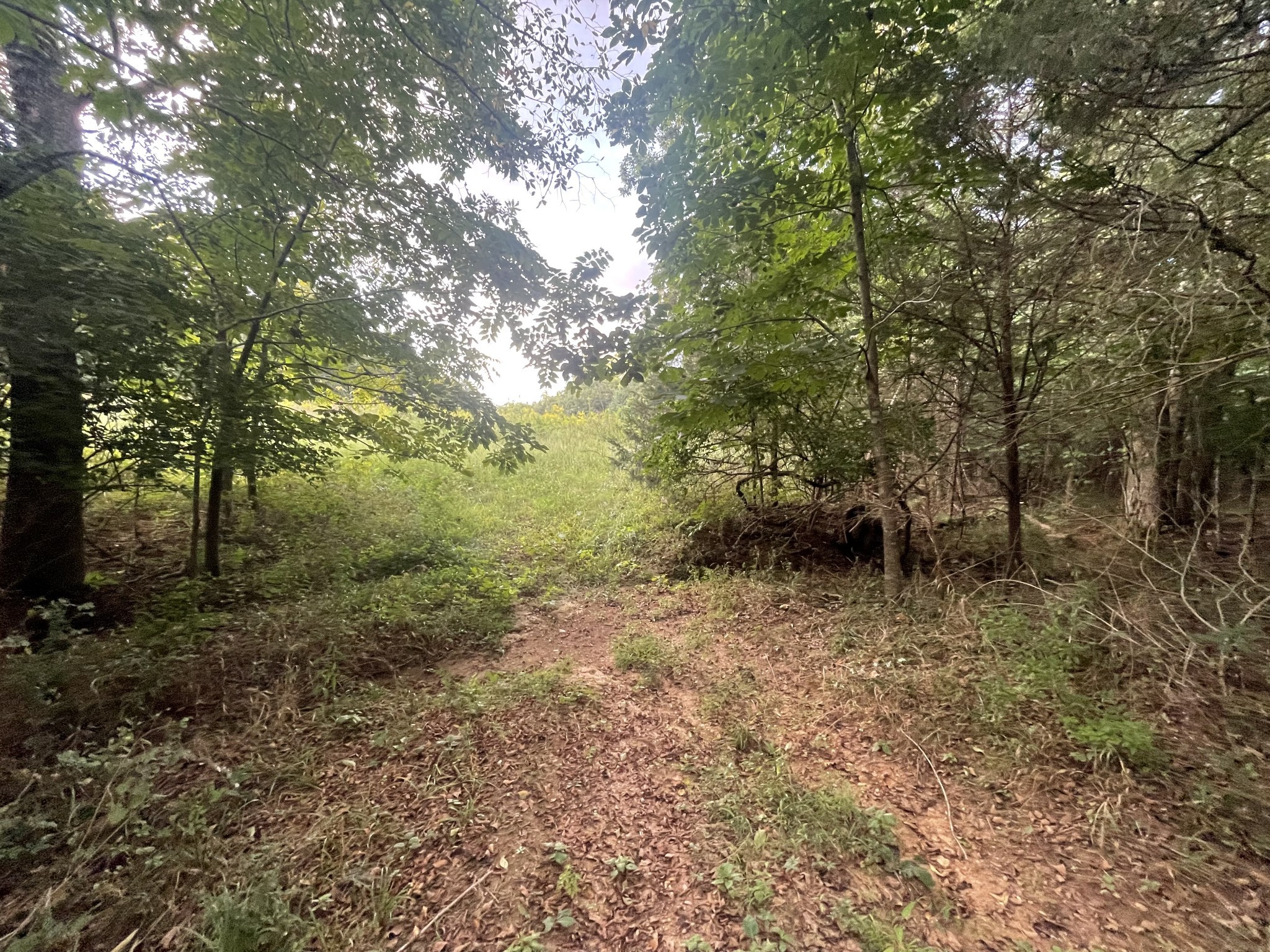 4534 Long Ln Property Photo 18