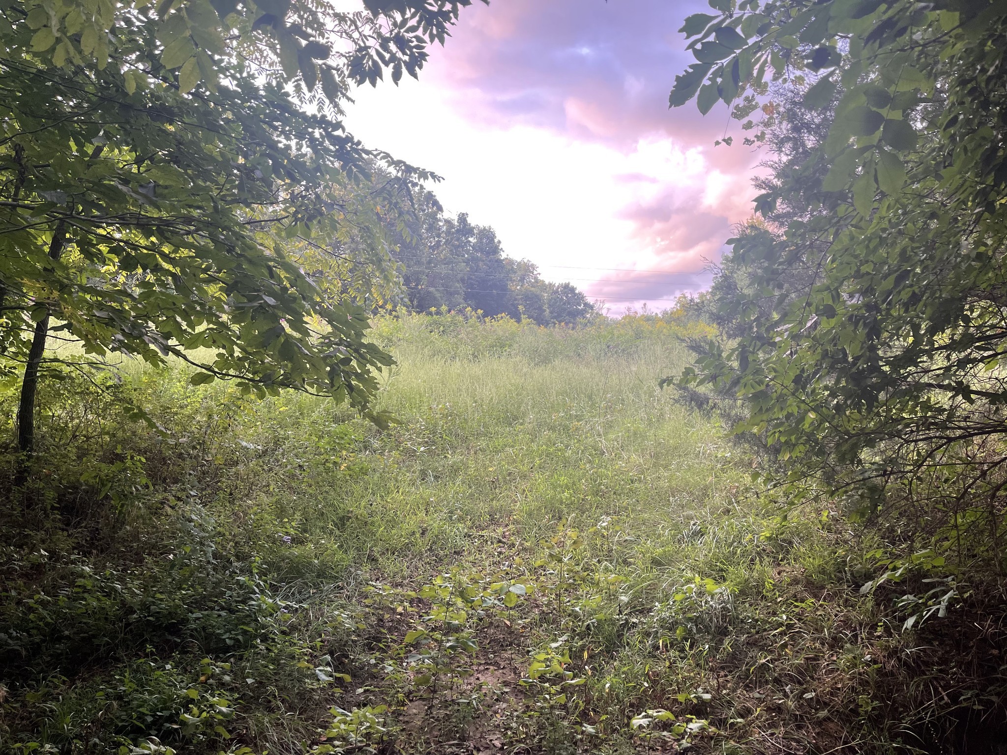 4534 Long Ln Property Photo 19