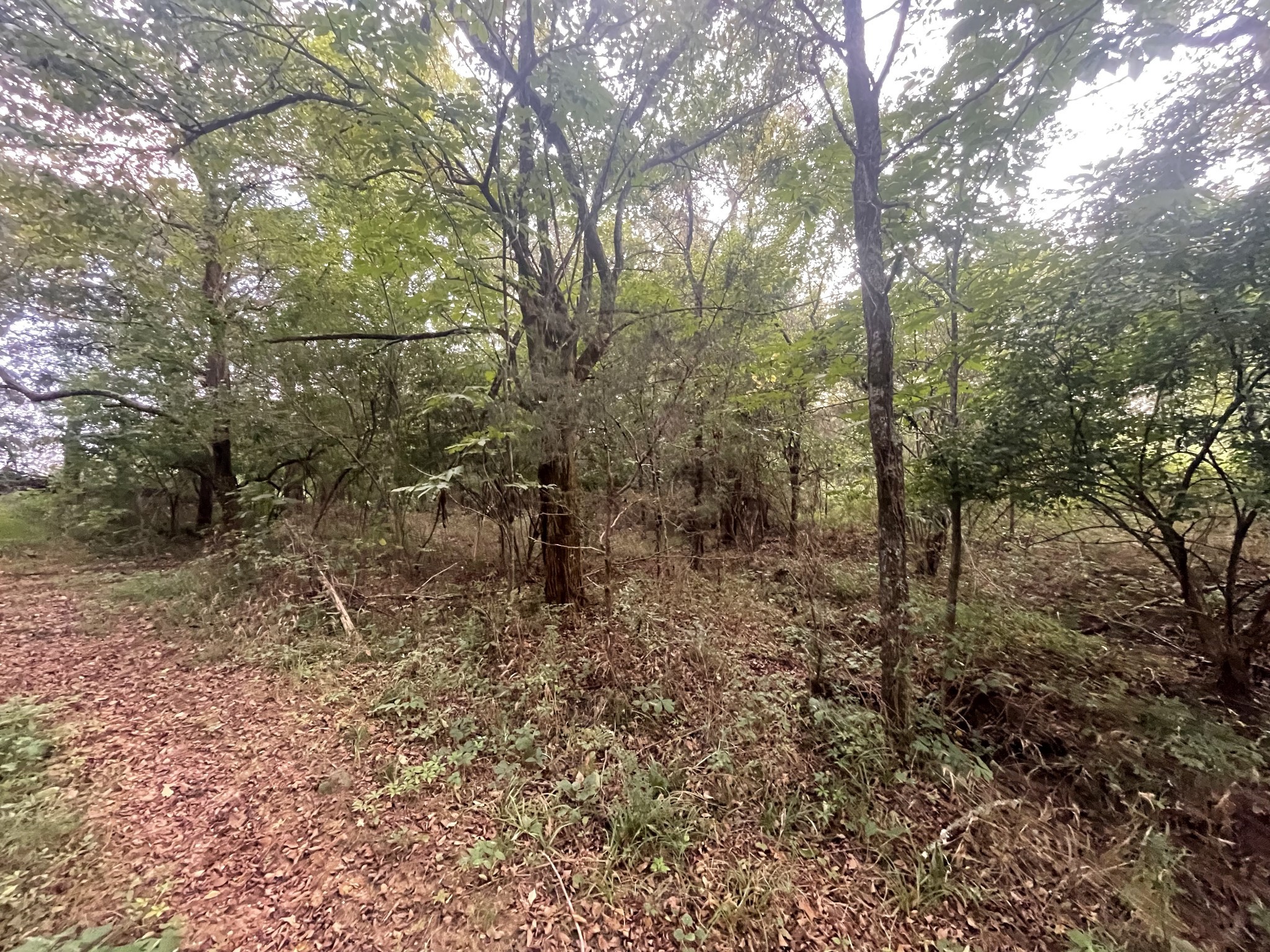 4534 Long Ln Property Photo 20