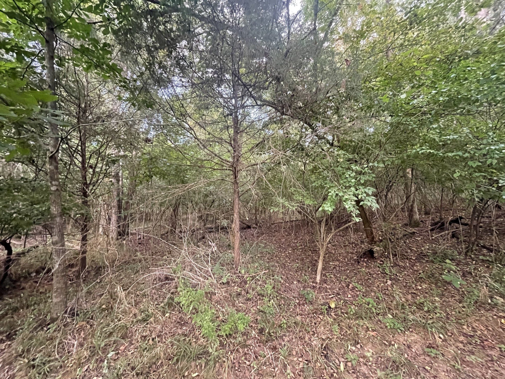 4534 Long Ln Property Photo 21