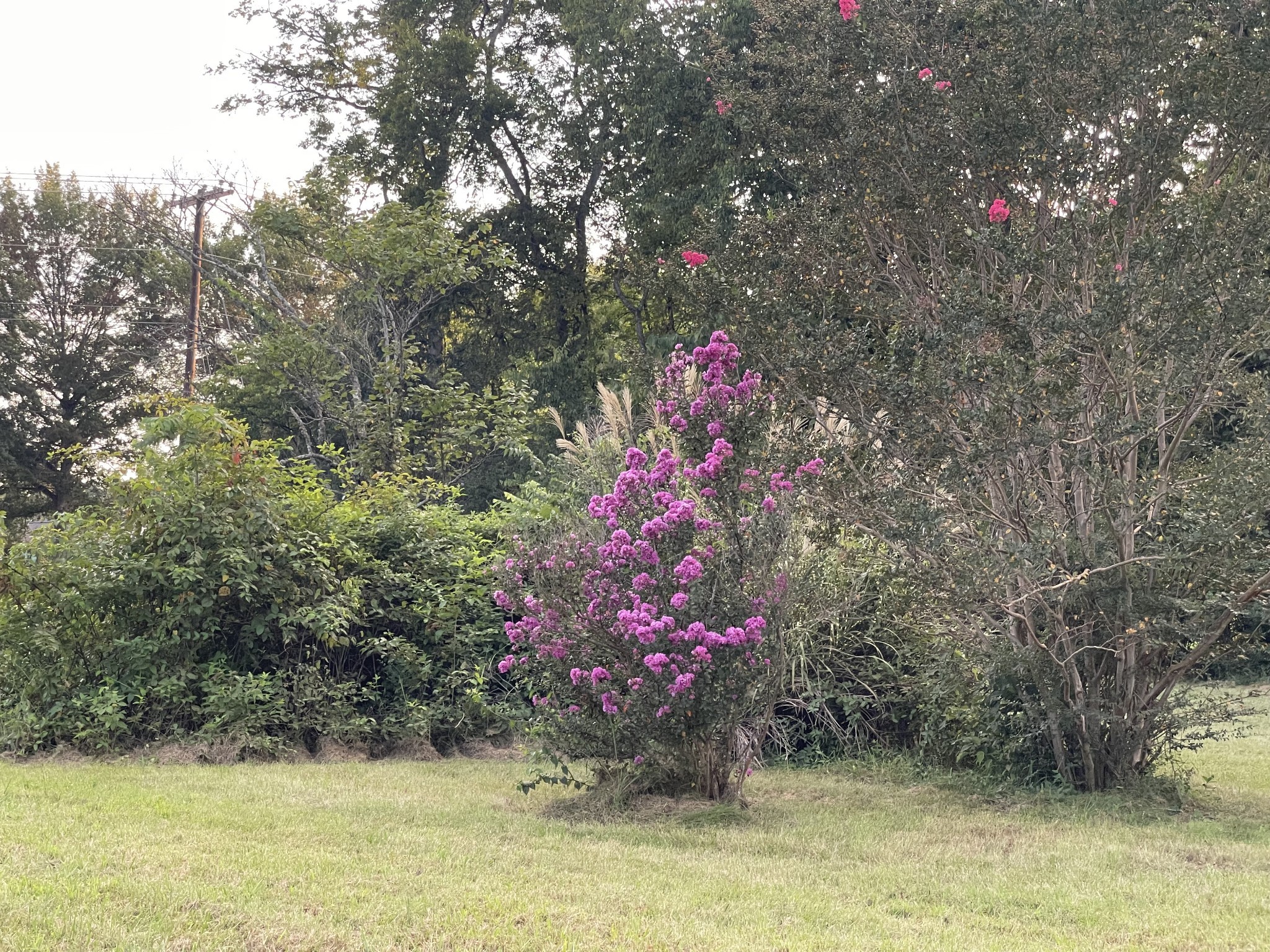 4534 Long Ln Property Photo 22