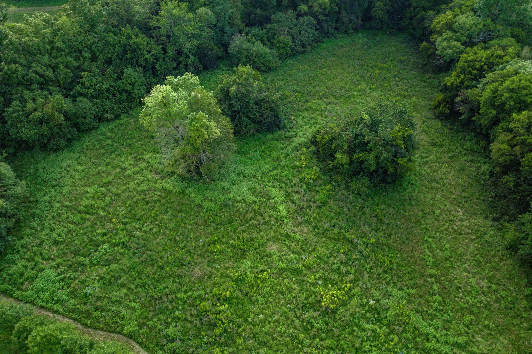 4534 Long Ln Property Photo 36