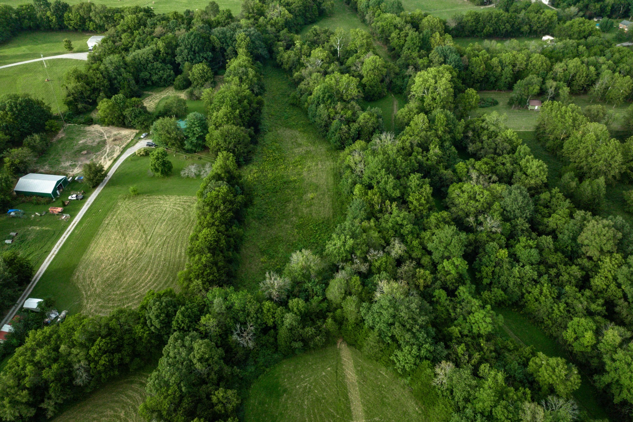 4534 Long Ln Property Photo 37