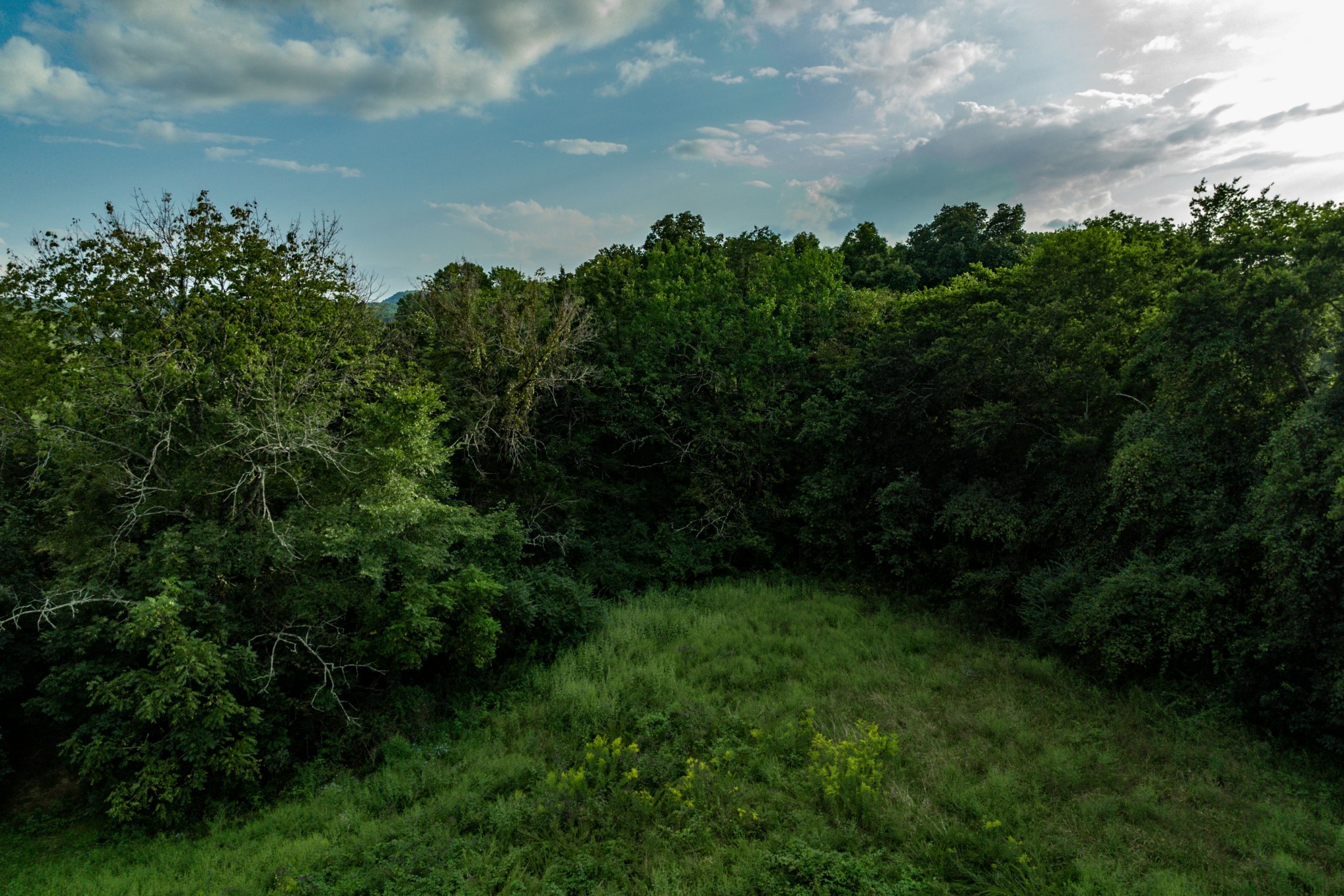 4534 Long Ln Property Photo 40