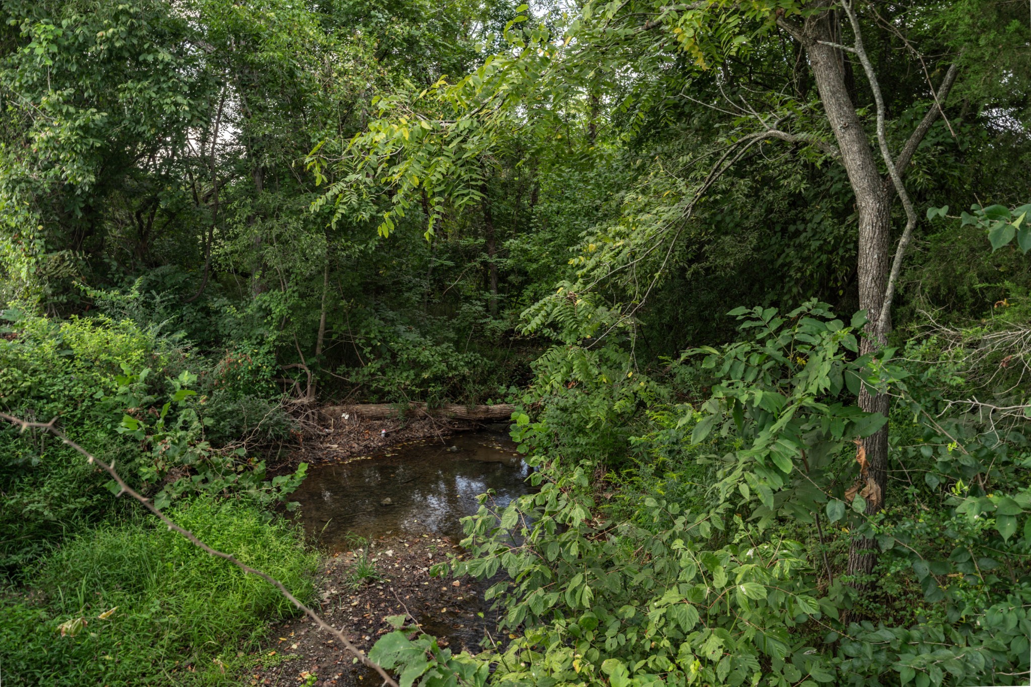 4534 Long Ln Property Photo 57