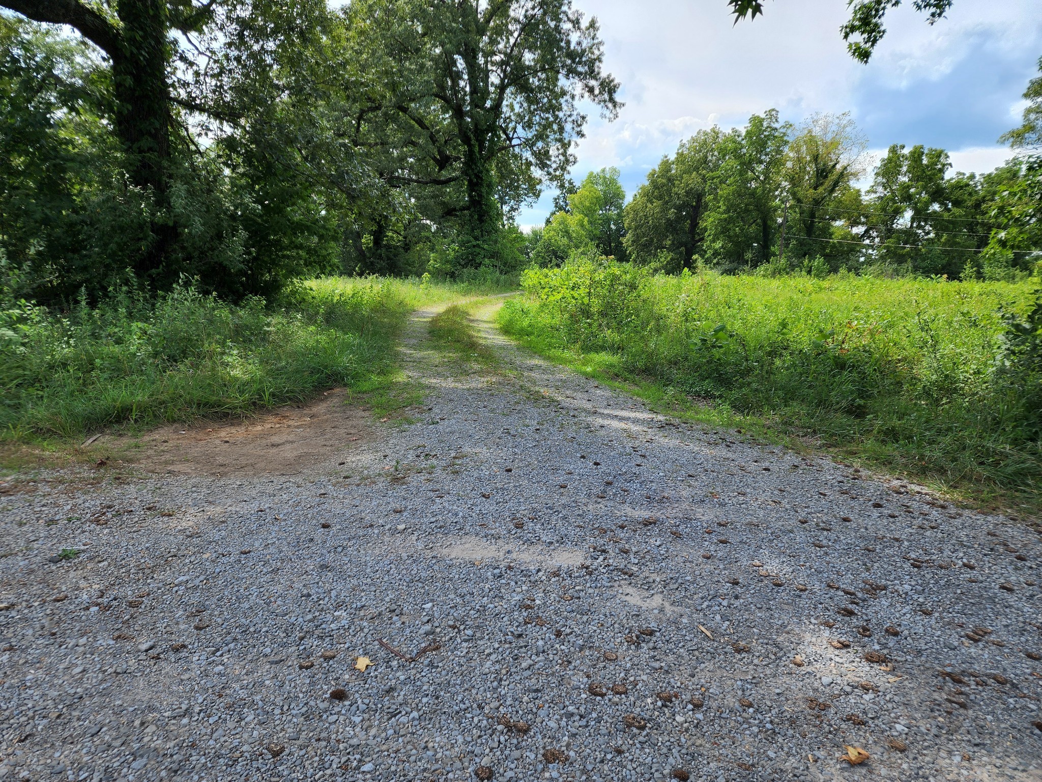 0 Old Highway 46 S, S Property Photo 23