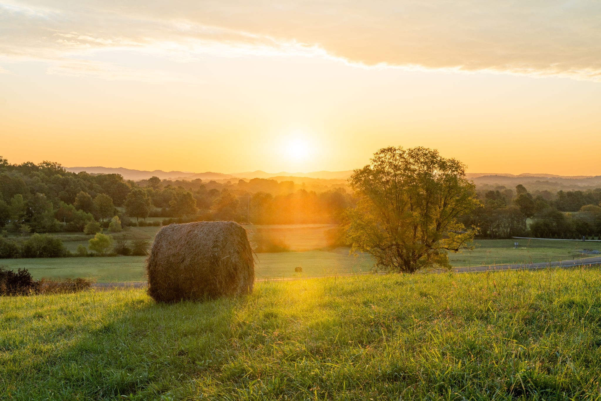 0 Old Hillsboro Rd Property Photo 2