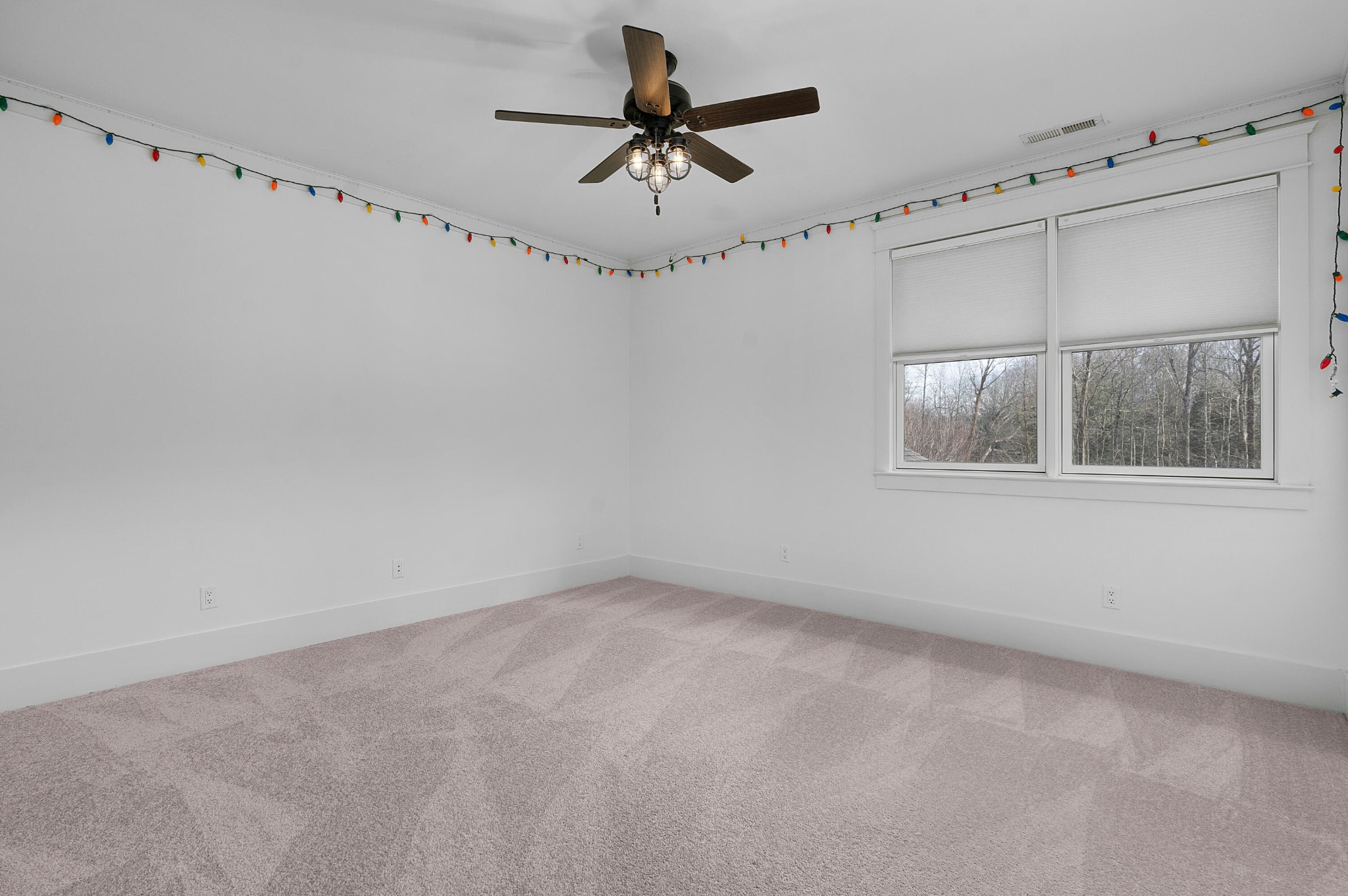 714 Berry Spring Path Property Photo 45