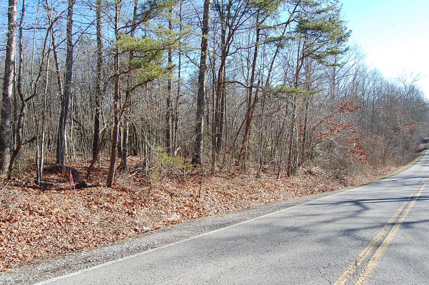 4 Henson Gap Road Property Photo 1
