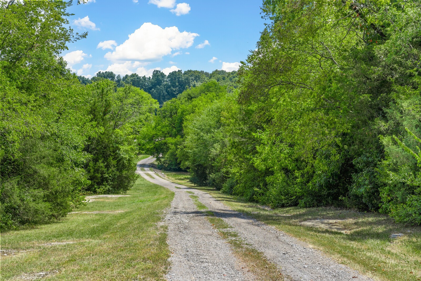 11671 Central Pike Property Photo 69