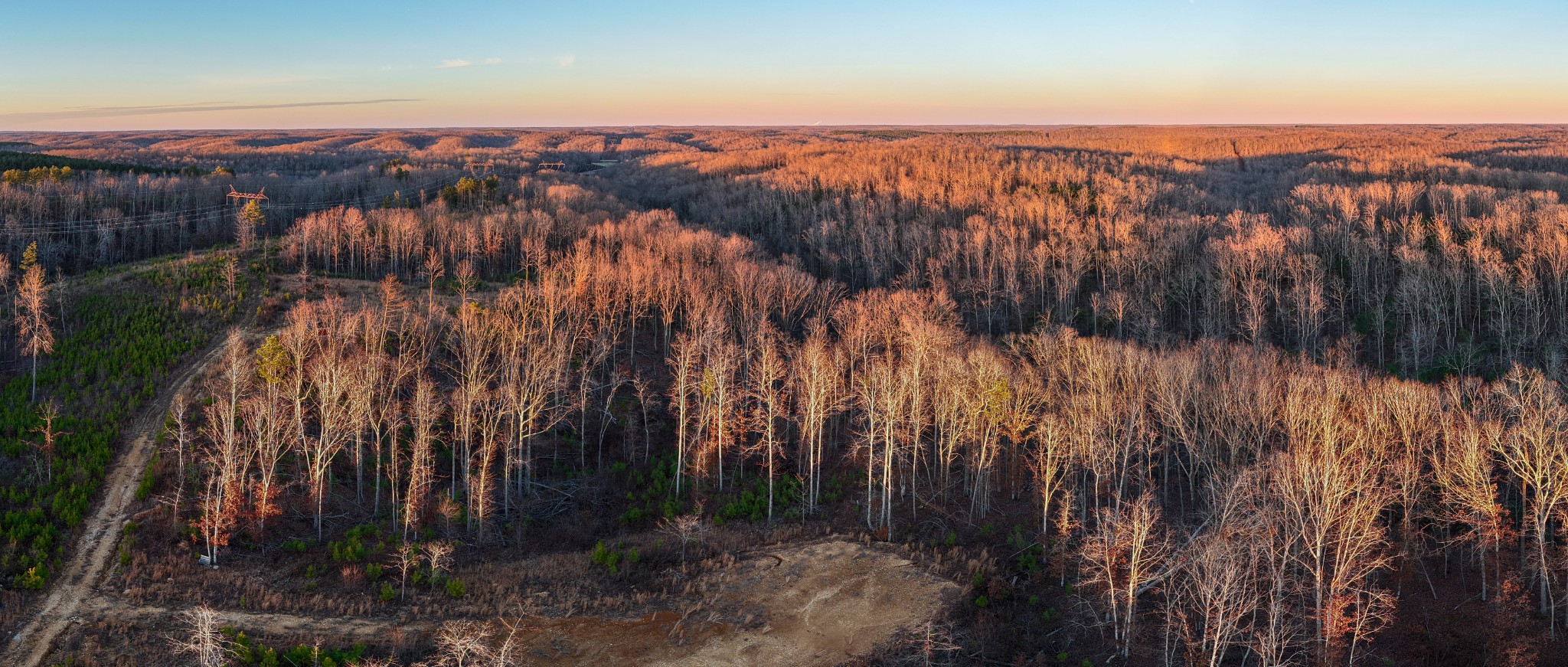 1155 Bear Hollow Dr Property Photo 5