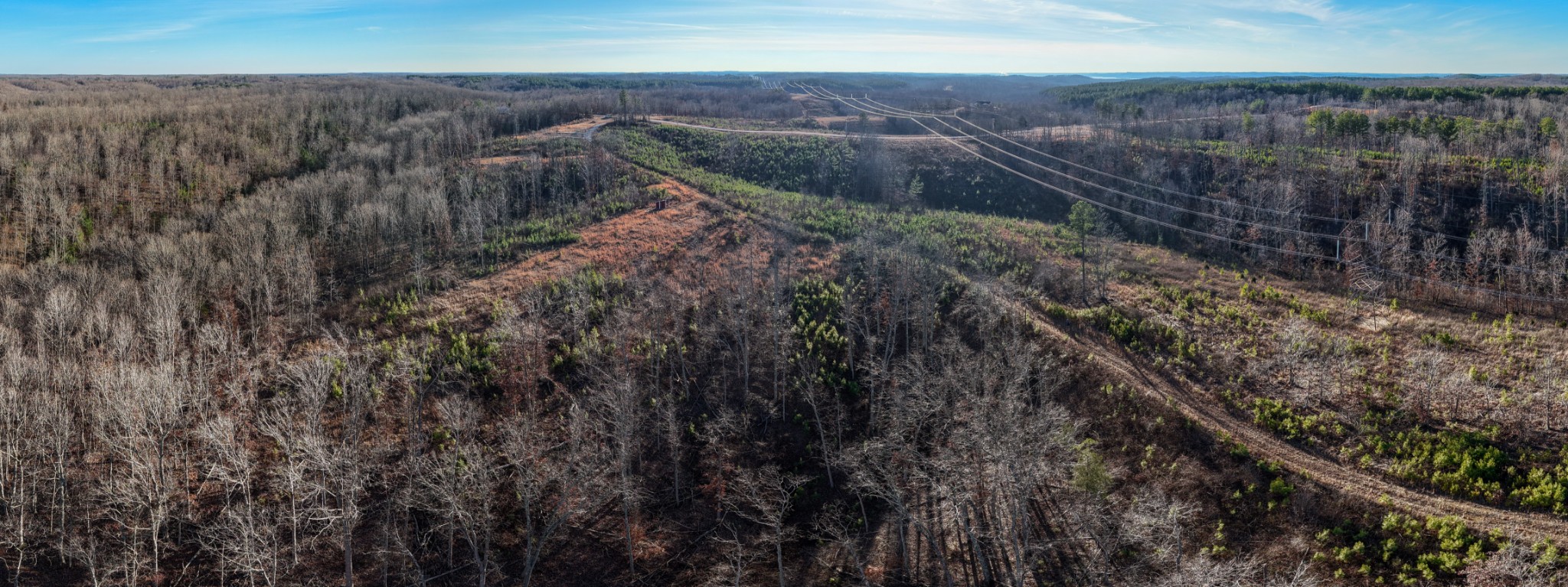 1155 Bear Hollow Dr Property Photo 8