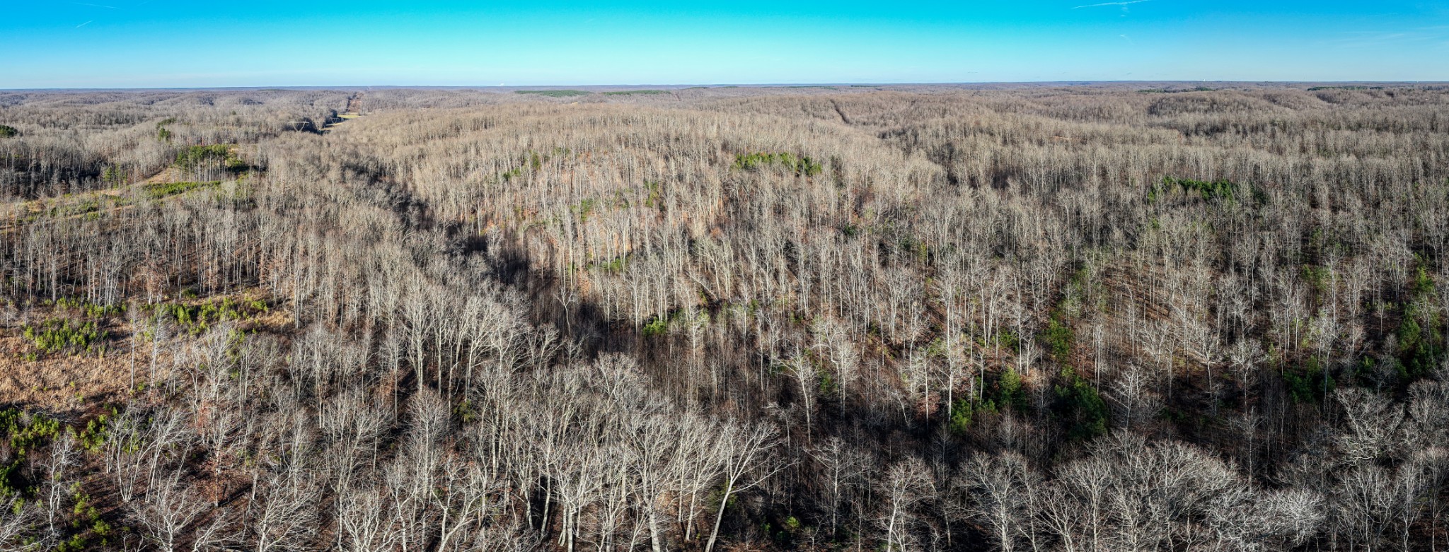 1155 Bear Hollow Dr Property Photo 9