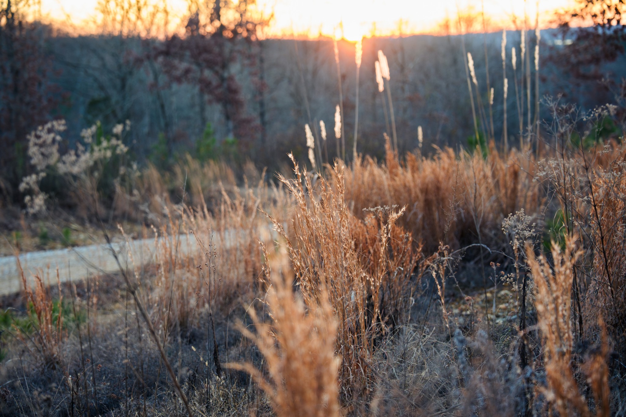 1155 Bear Hollow Dr Property Photo 10