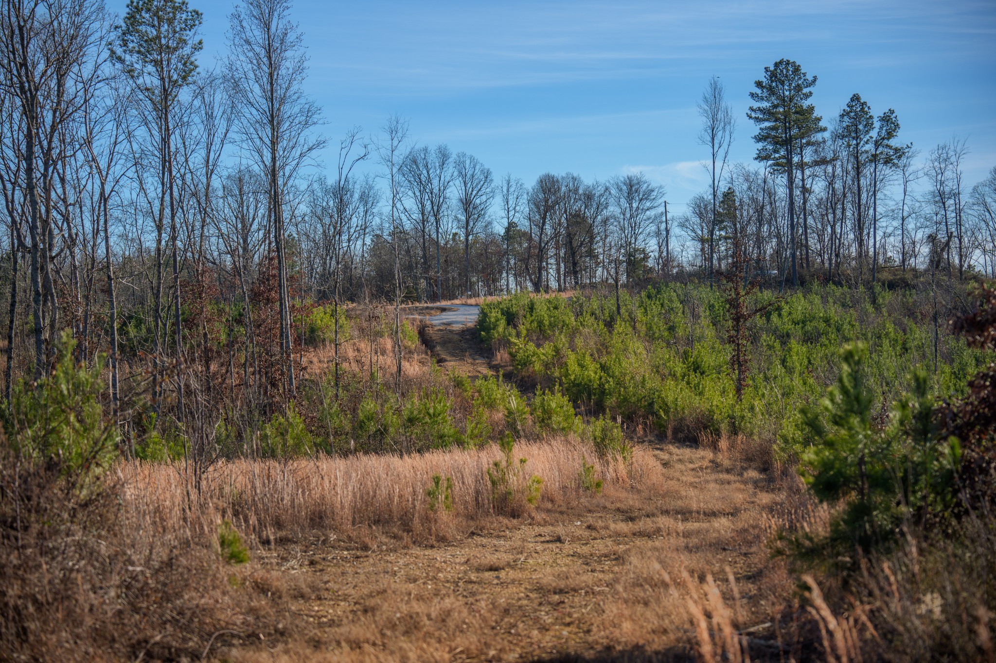 1155 Bear Hollow Dr Property Photo 12