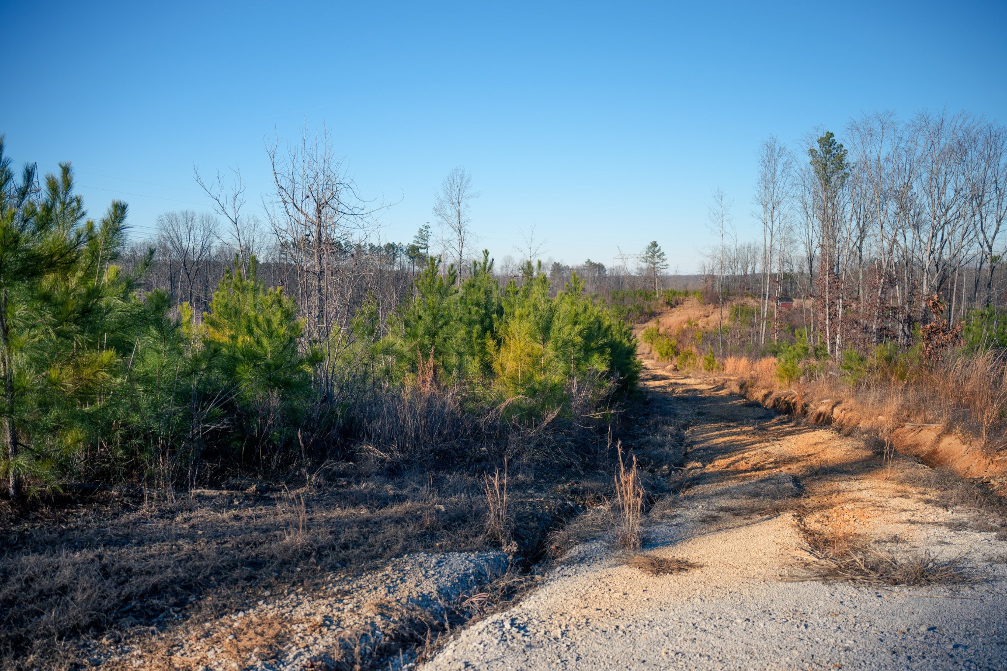 1155 Bear Hollow Dr Property Photo 13