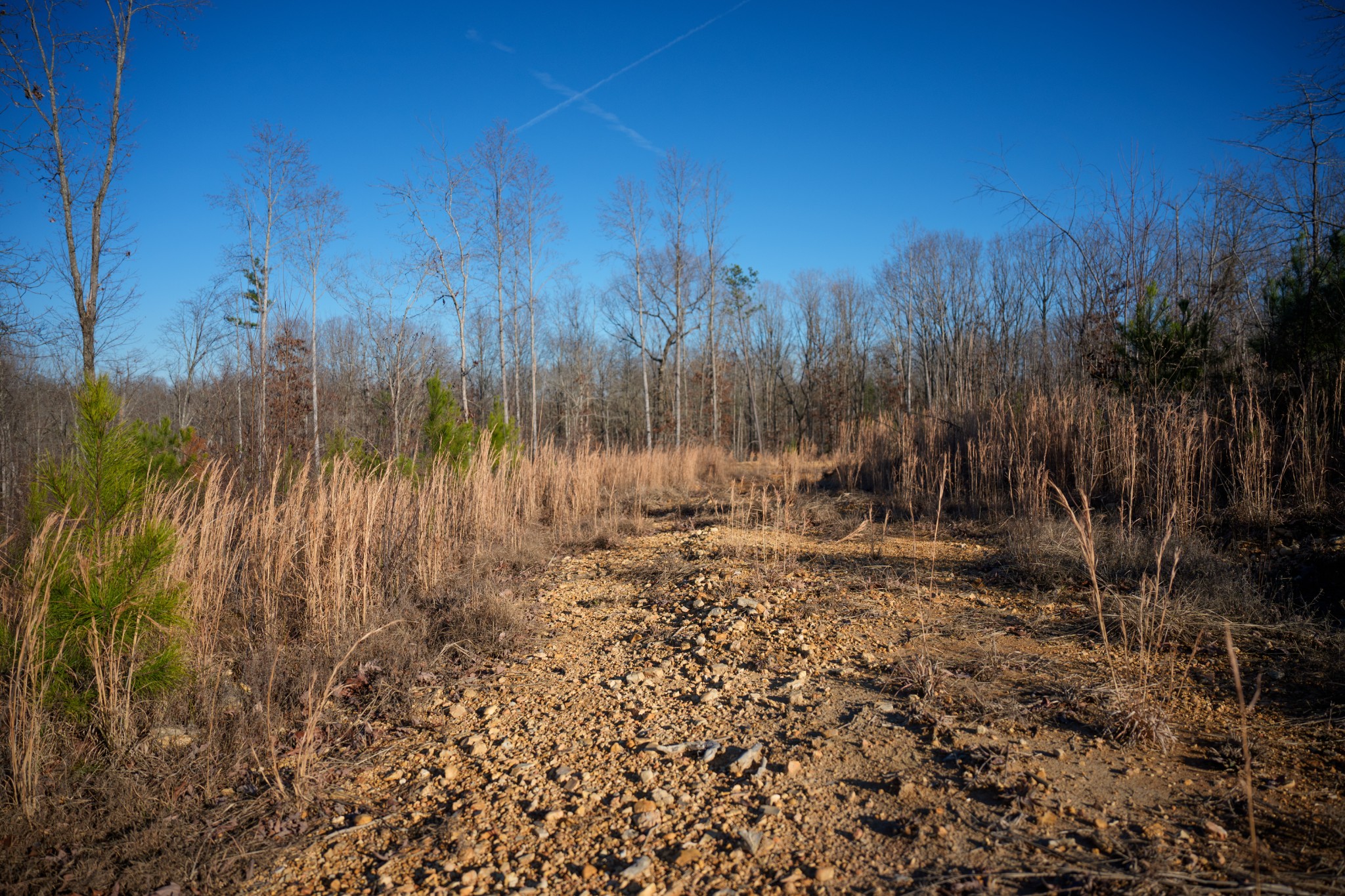 1155 Bear Hollow Dr Property Photo 16