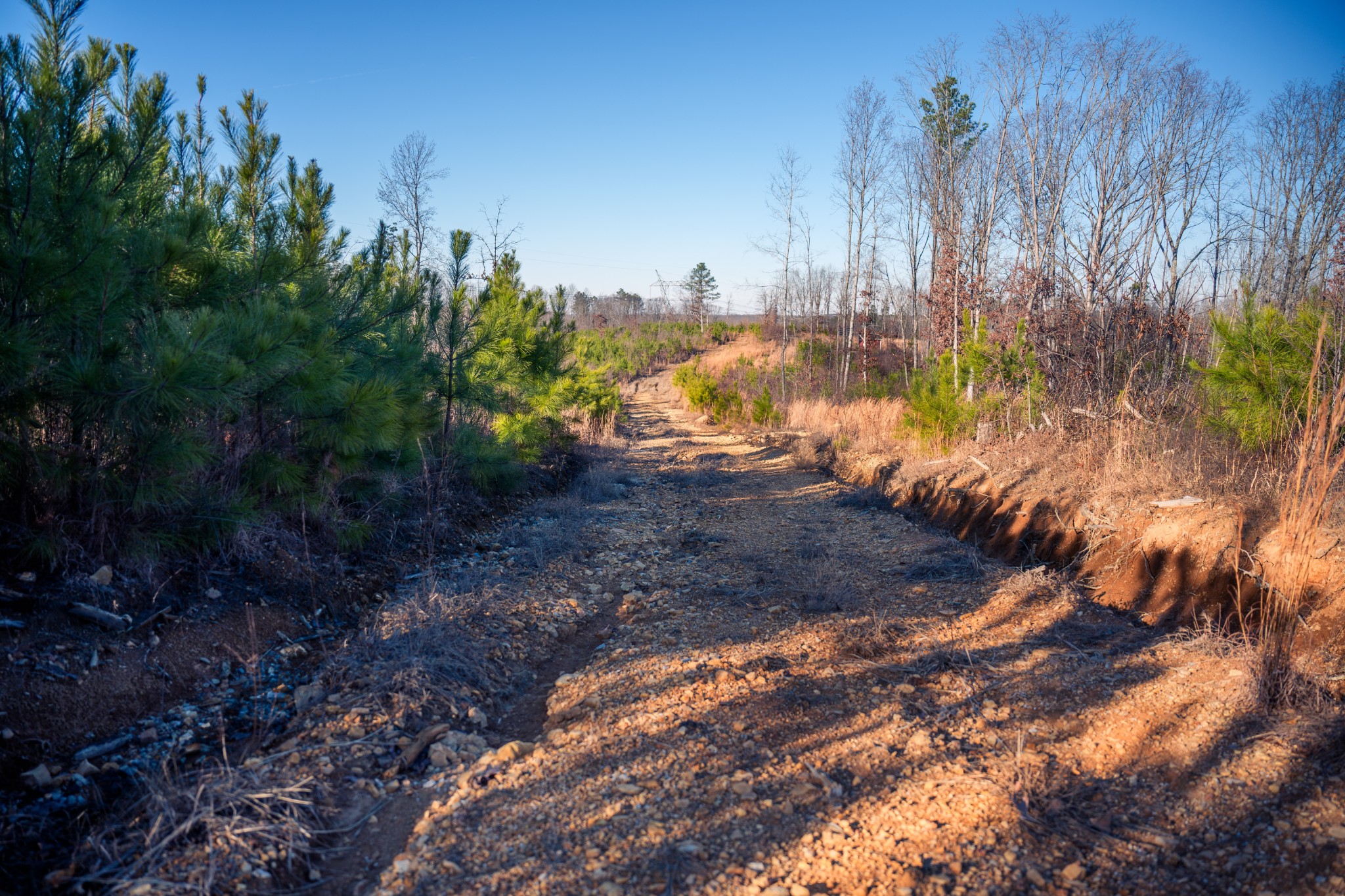 1155 Bear Hollow Dr Property Photo 21