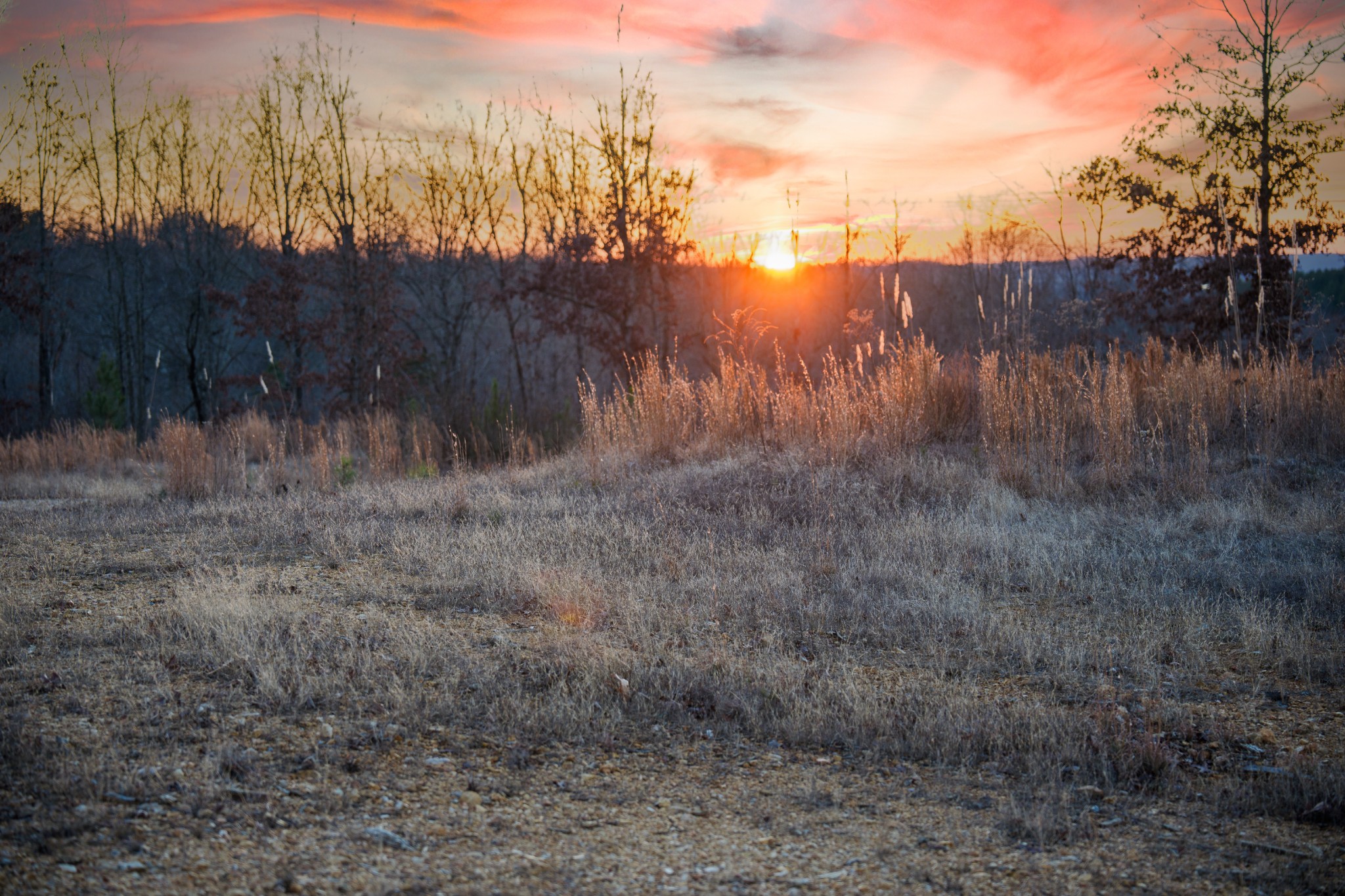 1155 Bear Hollow Dr Property Photo 22