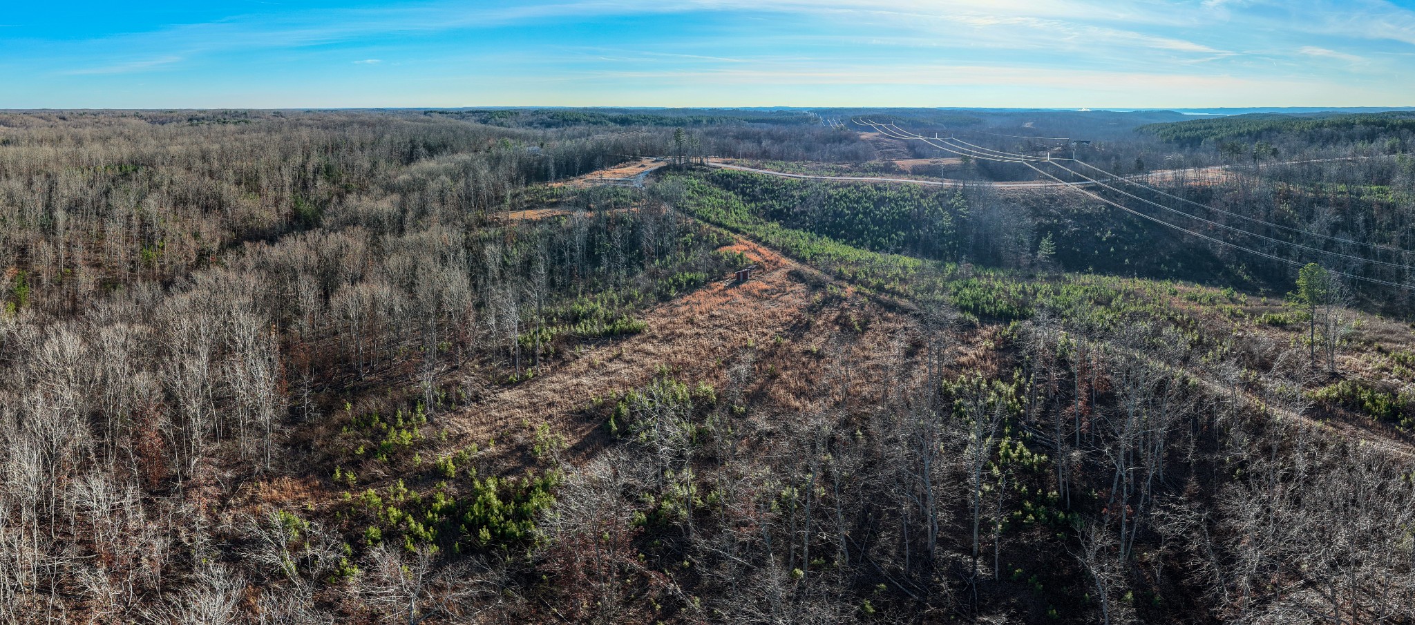 1155 Bear Hollow Dr Property Photo 24