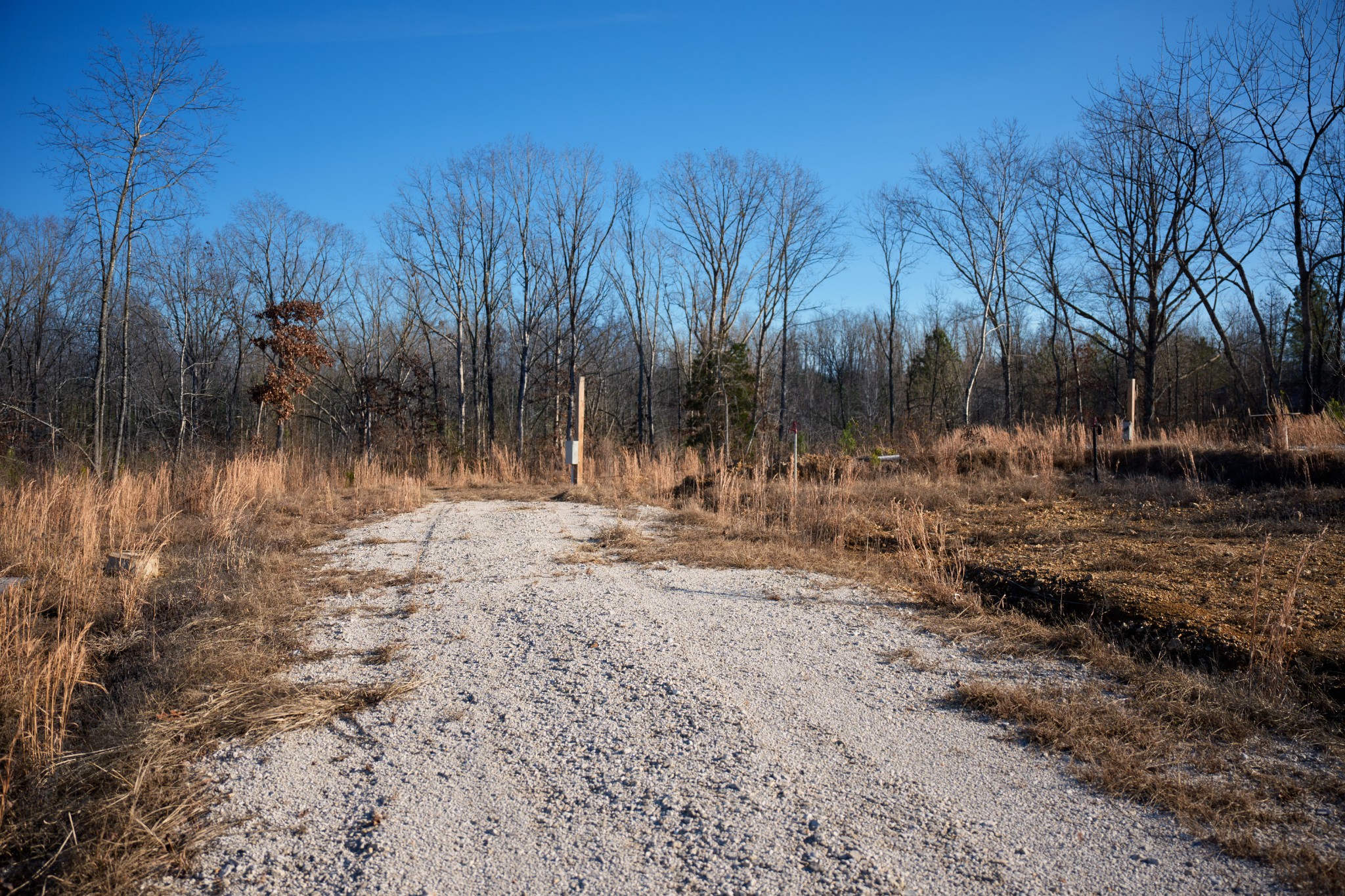 1155 Bear Hollow Dr Property Photo 25
