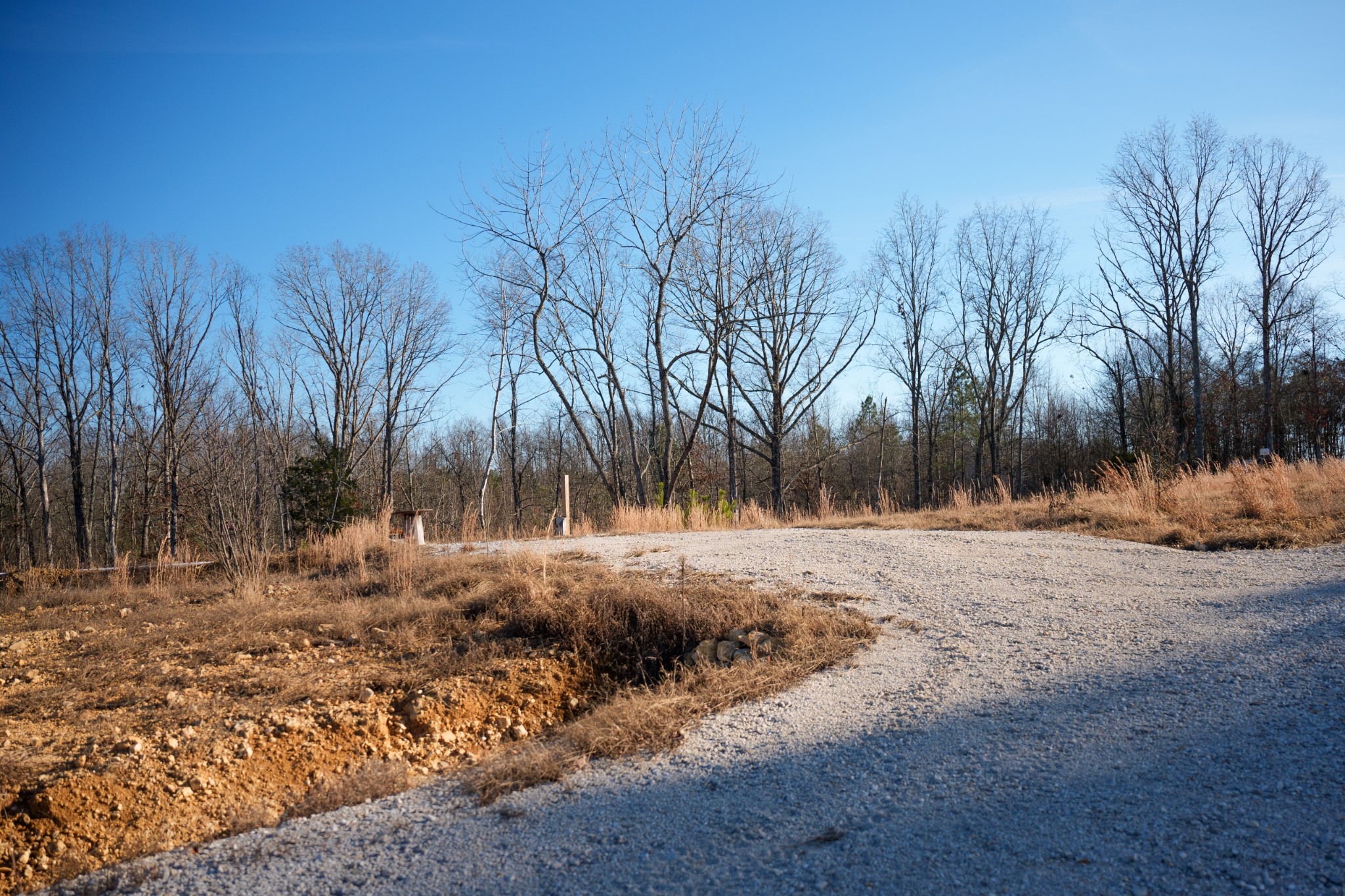 1155 Bear Hollow Dr Property Photo 26