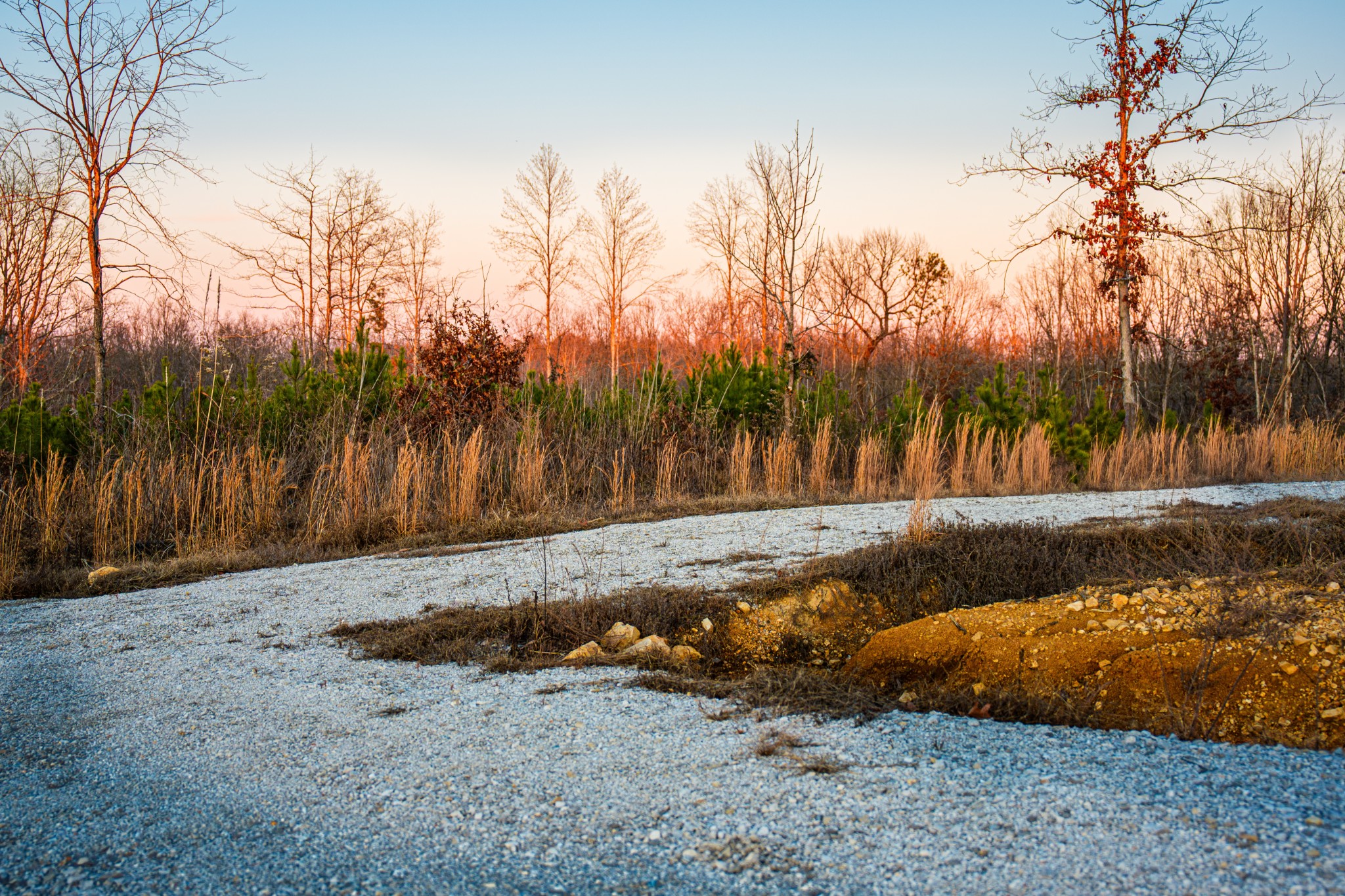 1155 Bear Hollow Dr Property Photo 27