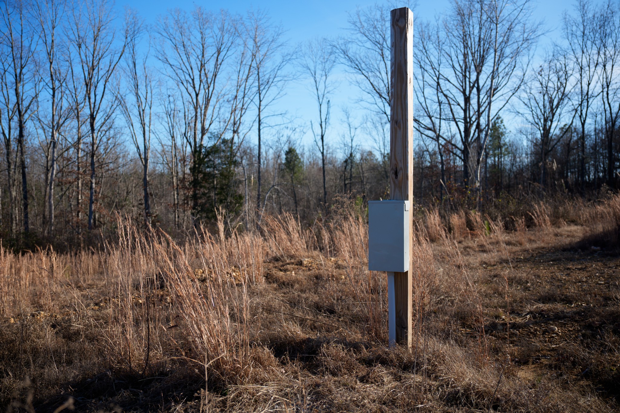 1155 Bear Hollow Dr Property Photo 29