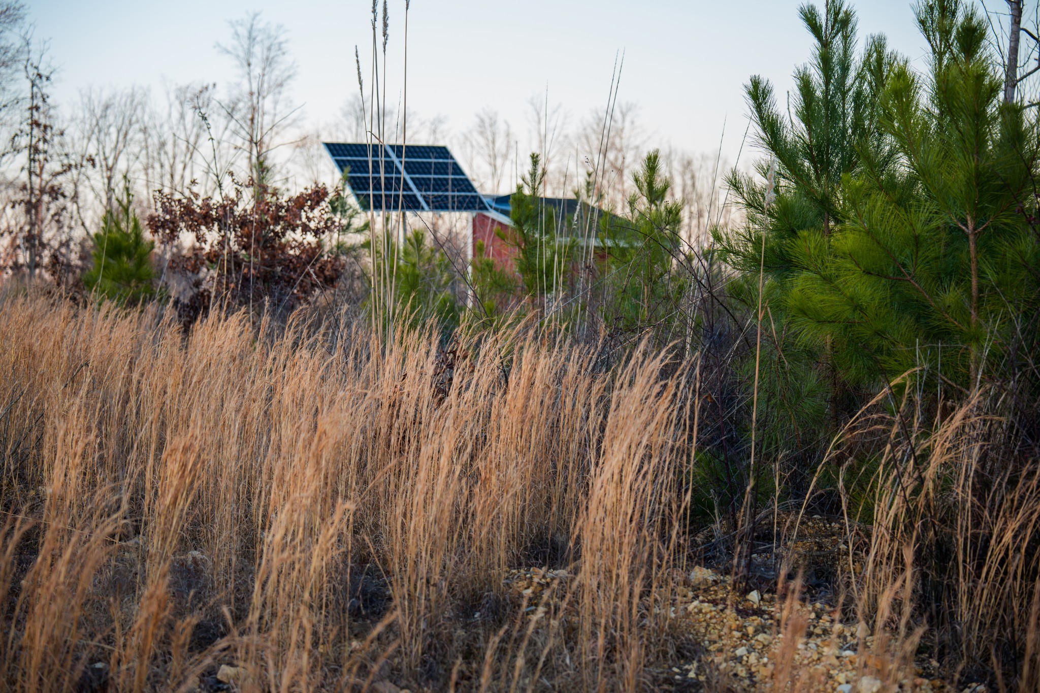 1155 Bear Hollow Dr Property Photo 31