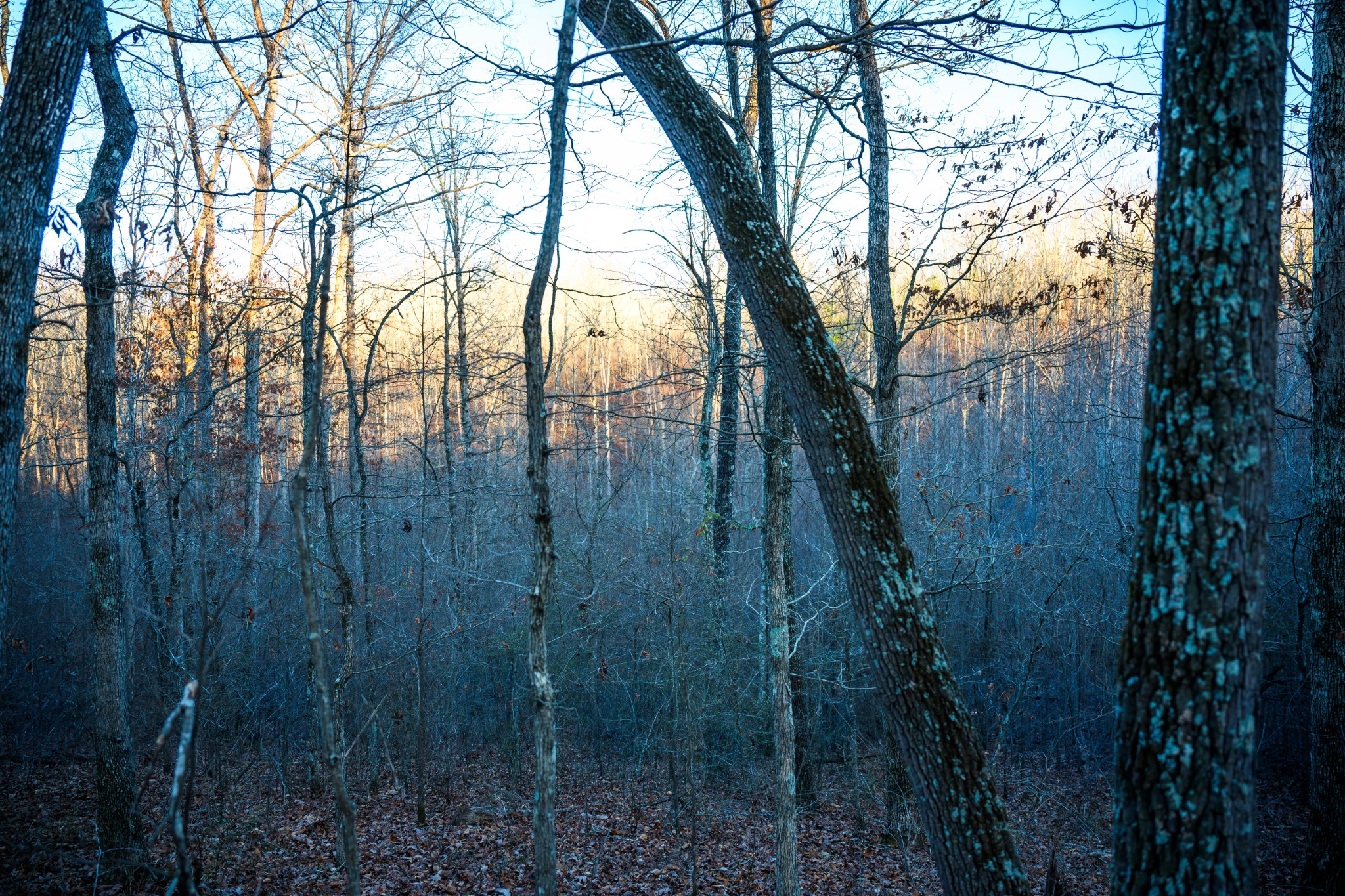 1155 Bear Hollow Dr Property Photo 33