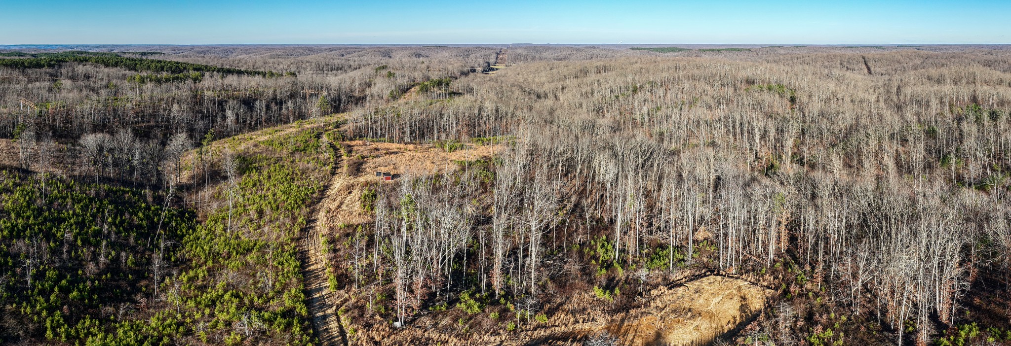 1155 Bear Hollow Dr Property Photo 35