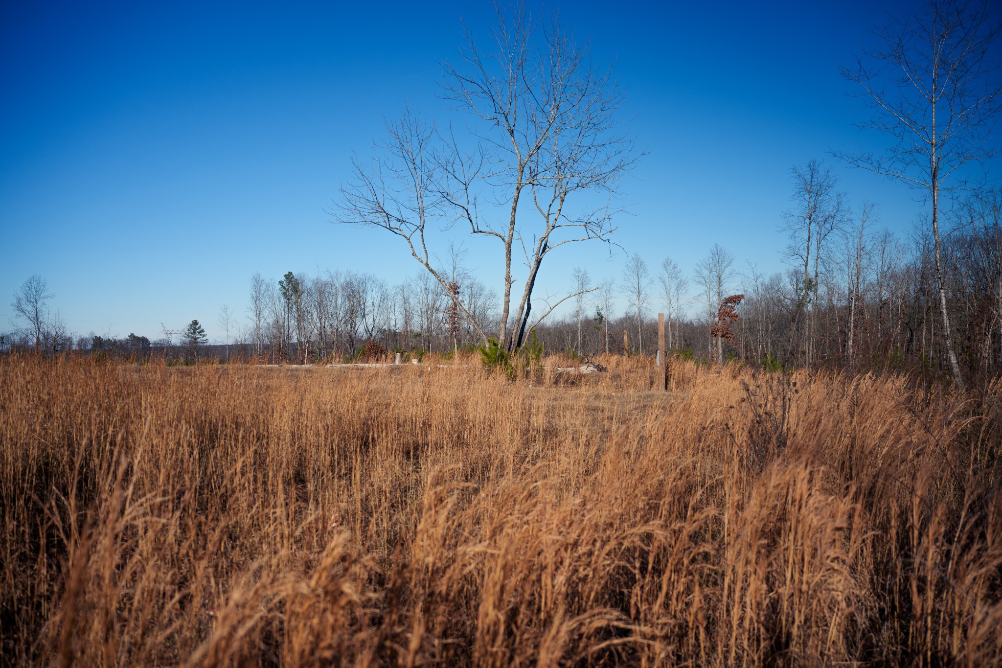 1155 Bear Hollow Dr Property Photo 37