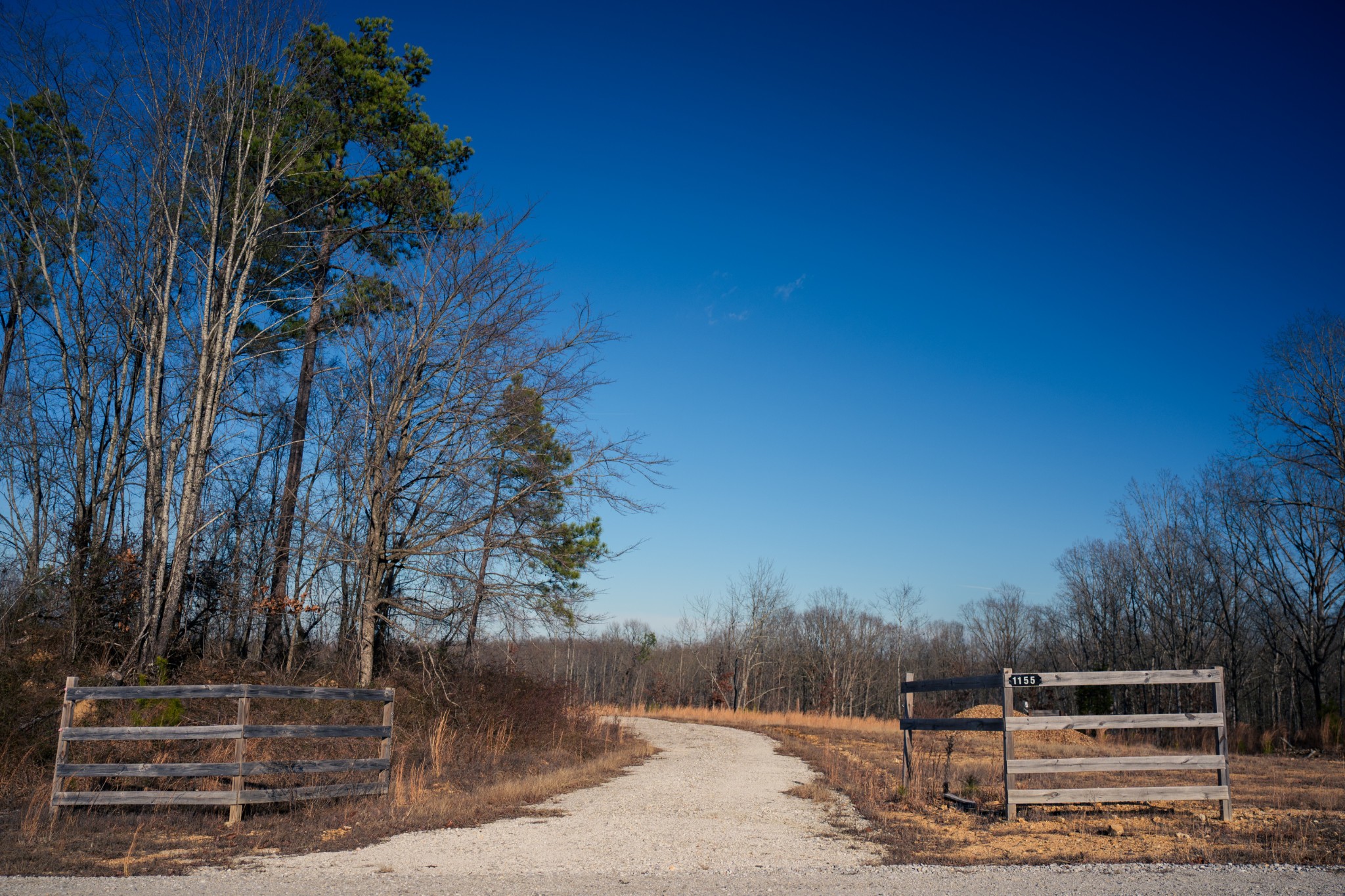 1155 Bear Hollow Dr Property Photo 39