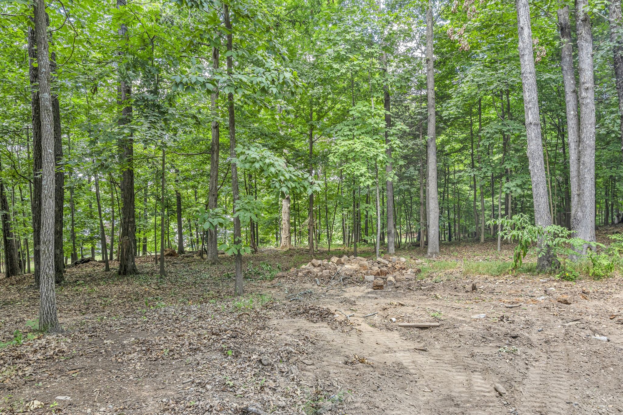3437 Red Oak Trl Property Photo 50