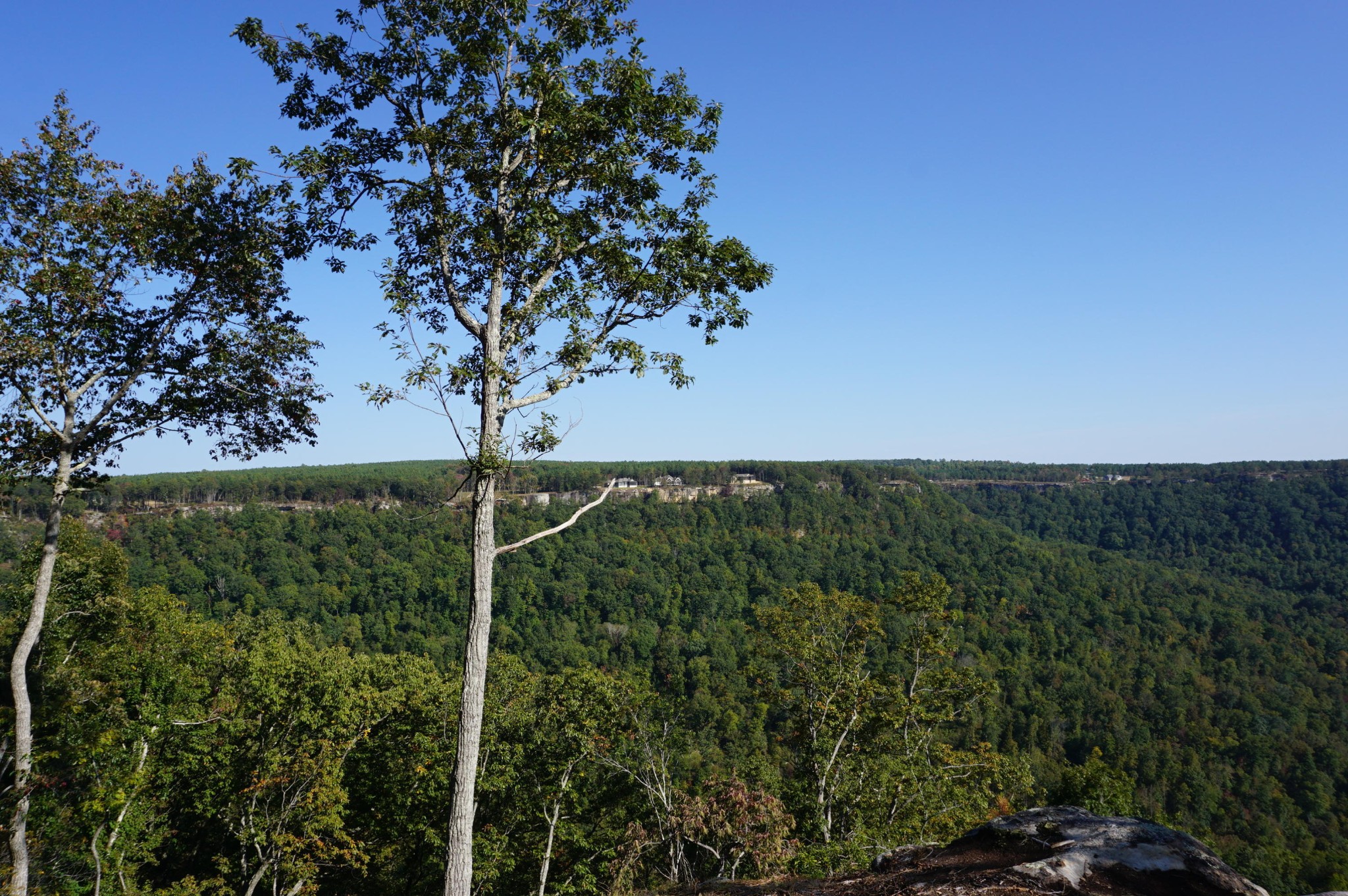 0 Crockett Point Property Photo 2
