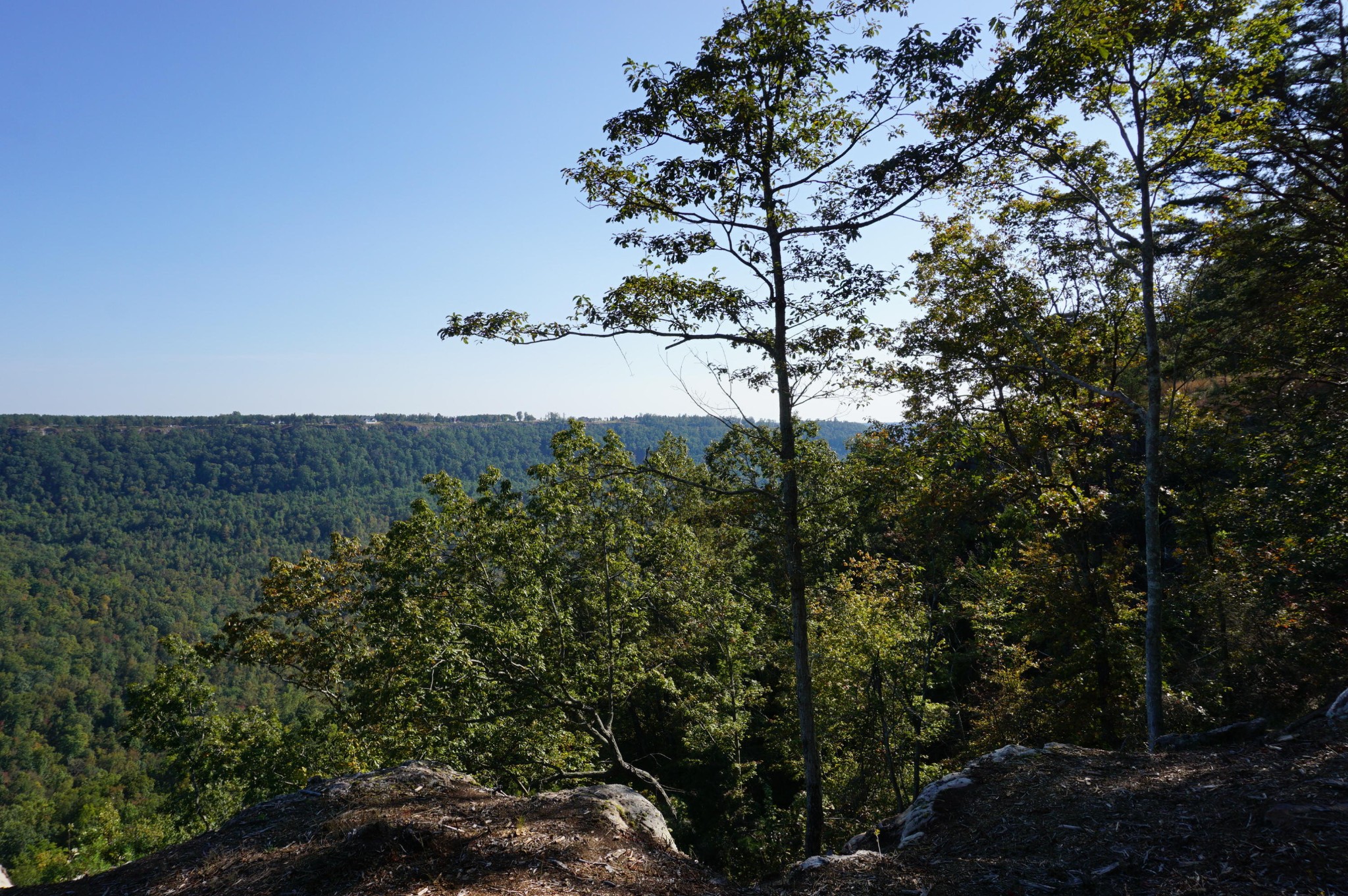 0 Crockett Point Property Photo 3