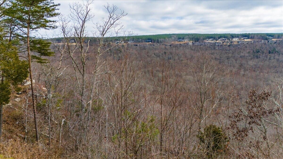0 Crockett Point Property Photo 6