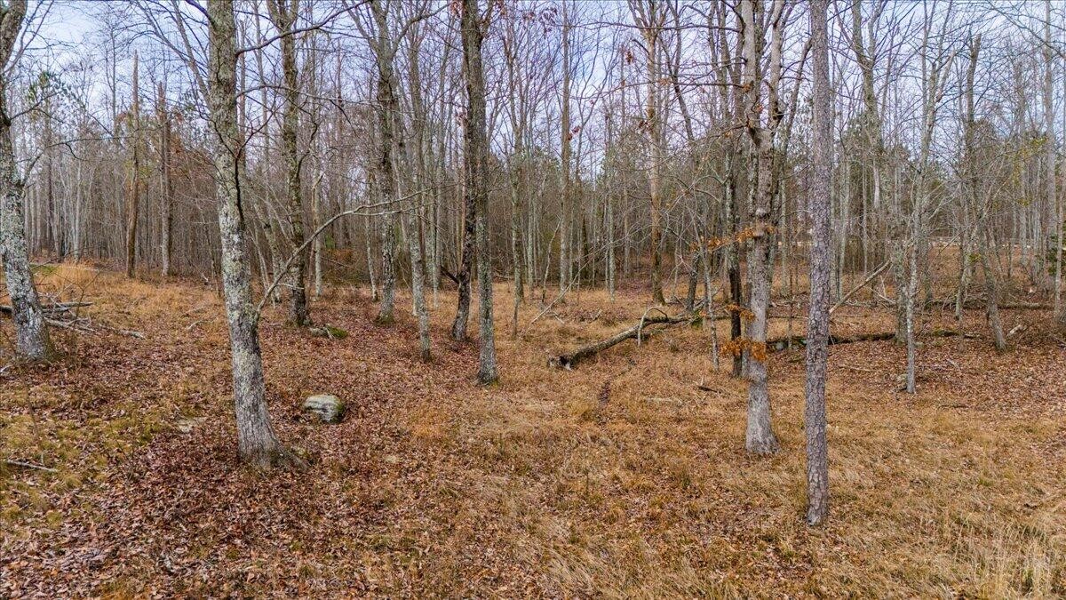 0 Crockett Point Property Photo 7