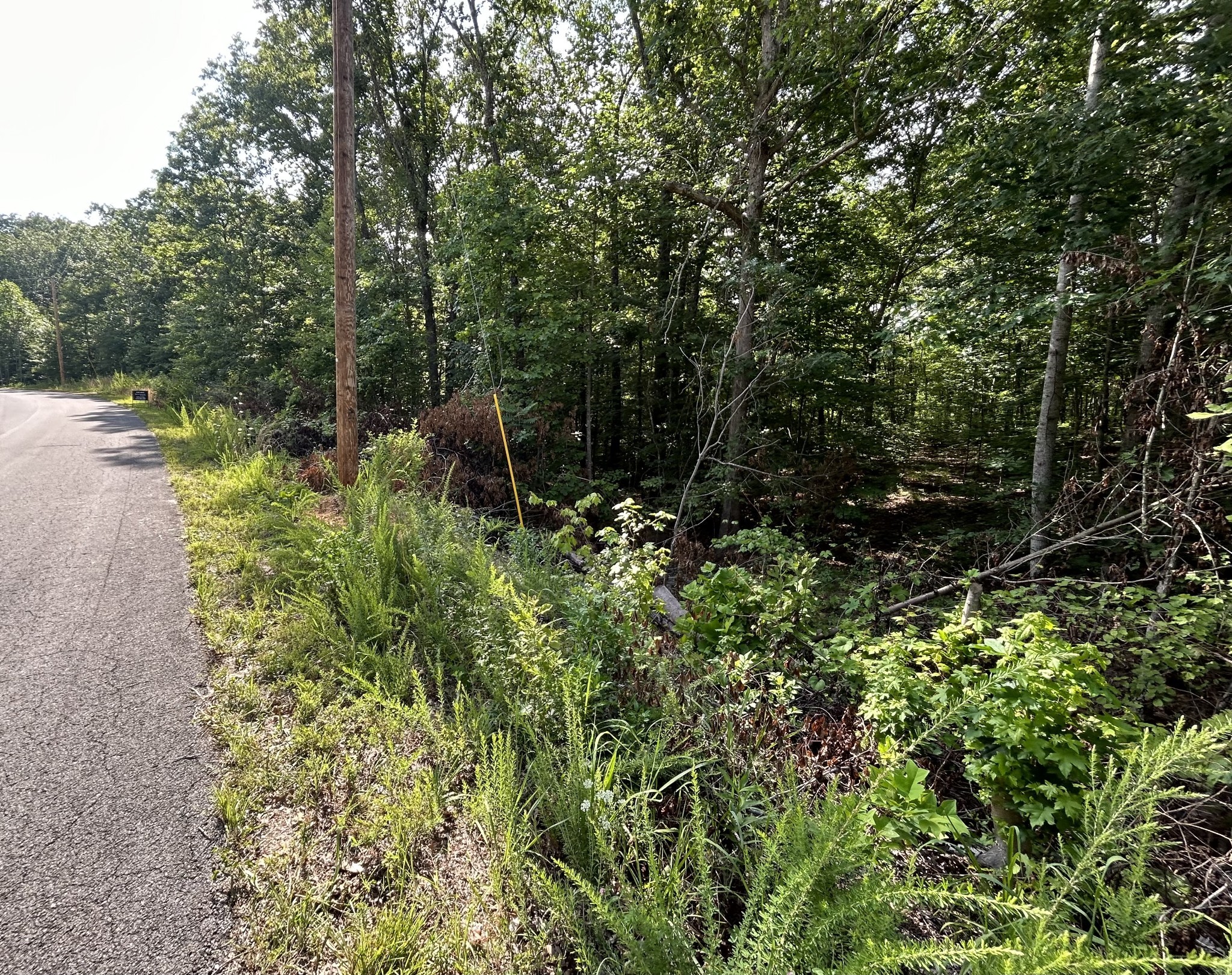 0 Teludachee Trail Property Photo 2