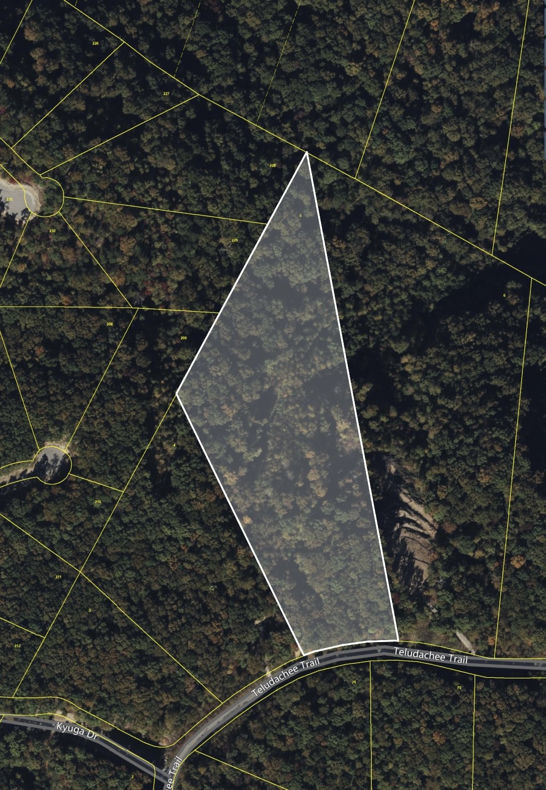 0 Teludachee Trail Property Photo 4