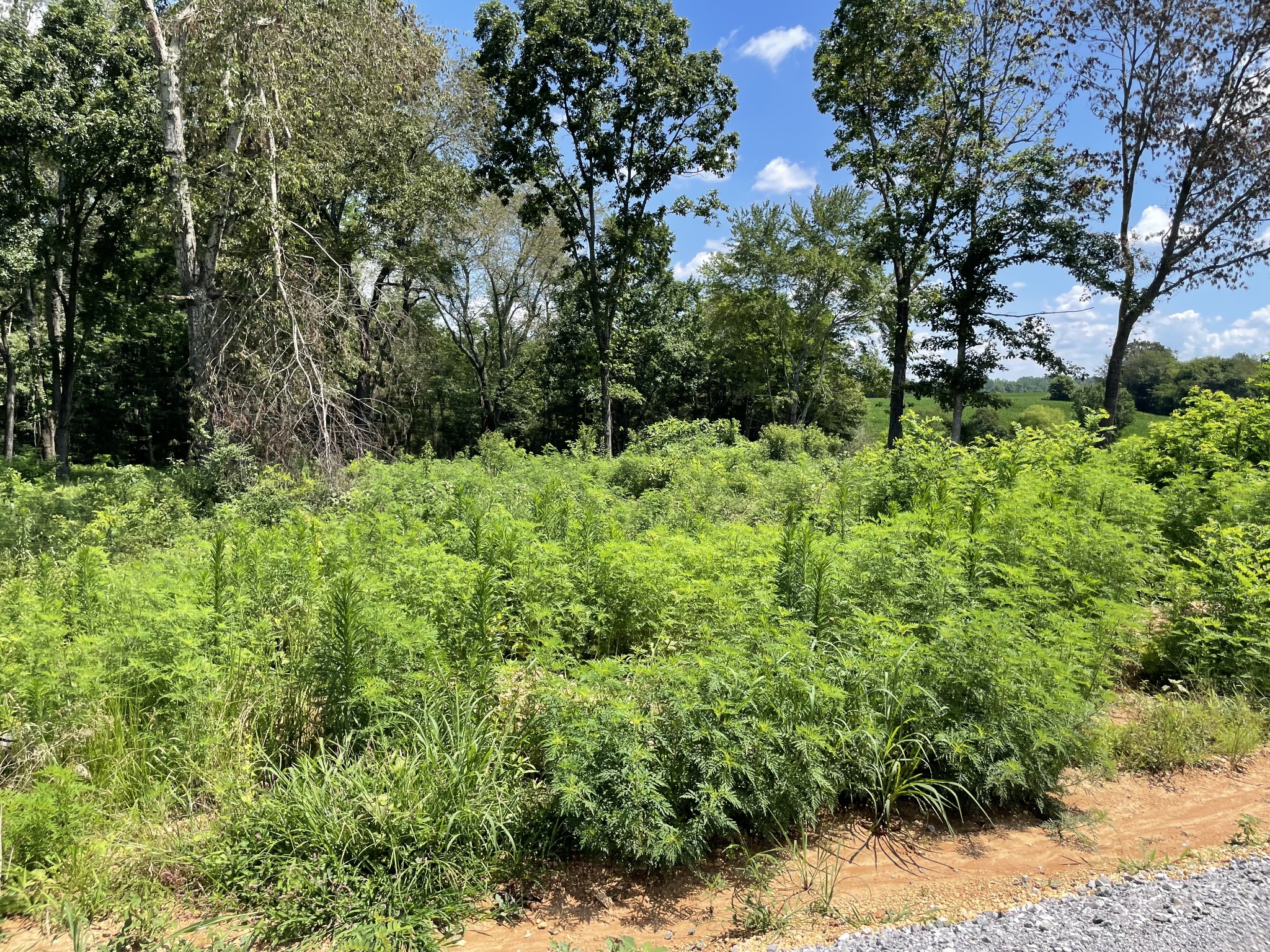 0 Hidden Hills Lane Property Photo 1