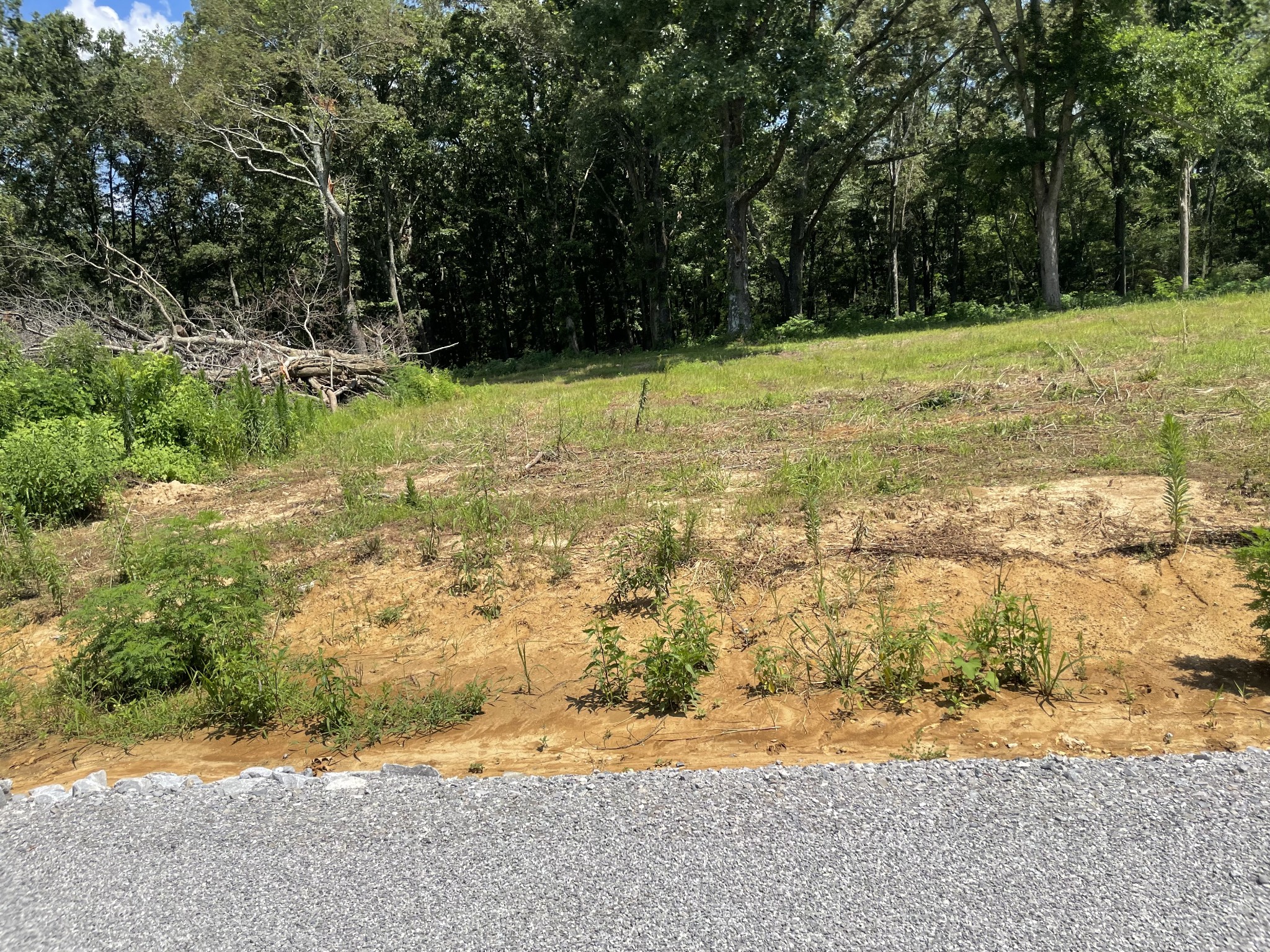 0 Hidden Hills Lane Property Photo 1