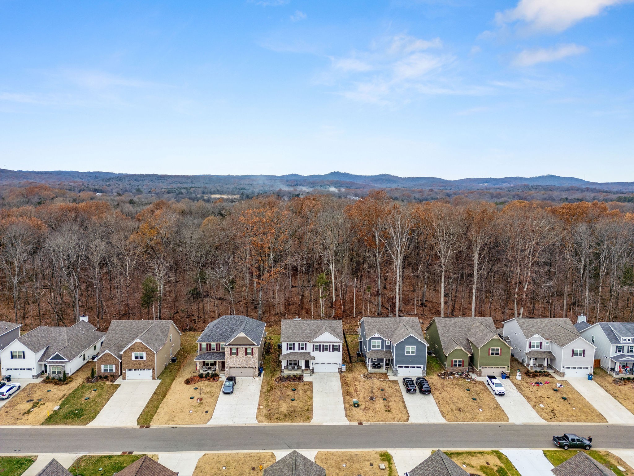 1454 Cotillion Dr Property Photo 34